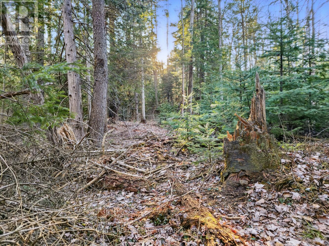 450 Sauble Falls Parkway, South Bruce Peninsula, Ontario  N0H 2G0 - Photo 36 - X12091194