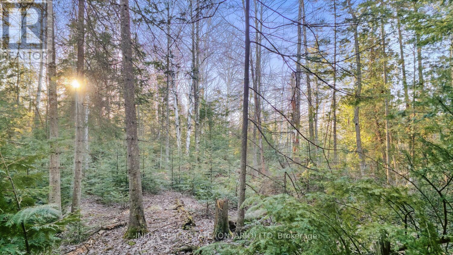 450 Sauble Falls Parkway, South Bruce Peninsula, Ontario  N0H 2G0 - Photo 37 - X12091194