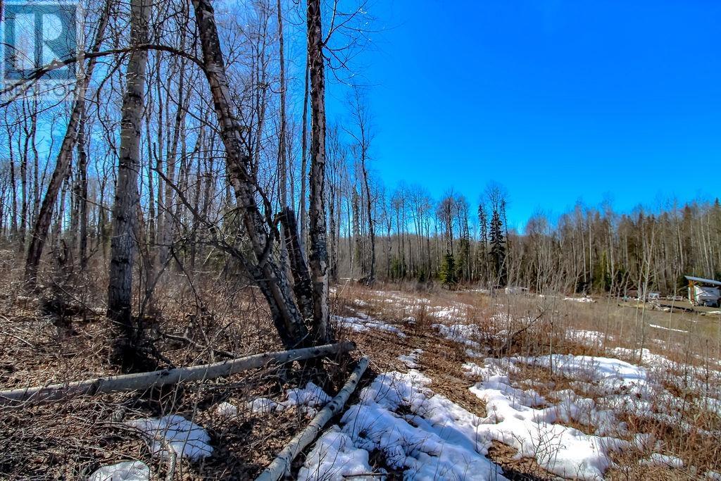 Lot 25 Sweder Road, Fort St. James, British Columbia  V0J 1P0 - Photo 7 - R2991637
