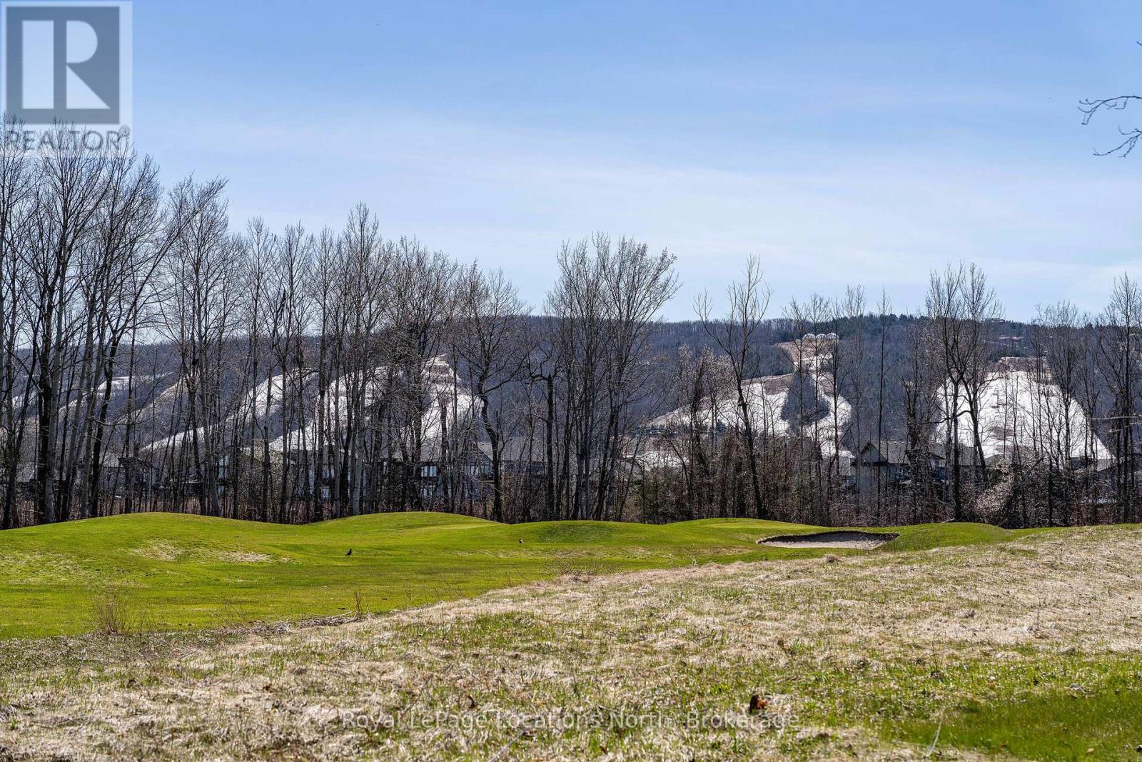 146 Crestview Court, Blue Mountains, Ontario  L9Y 0Z4 - Photo 9 - X12091319