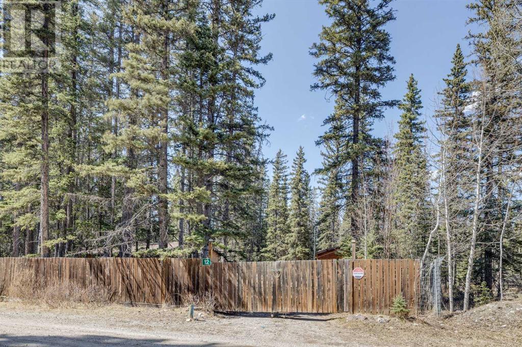 12 White Crescent, Bragg Creek, Alberta  T0L 0K0 - Photo 38 - A2205423