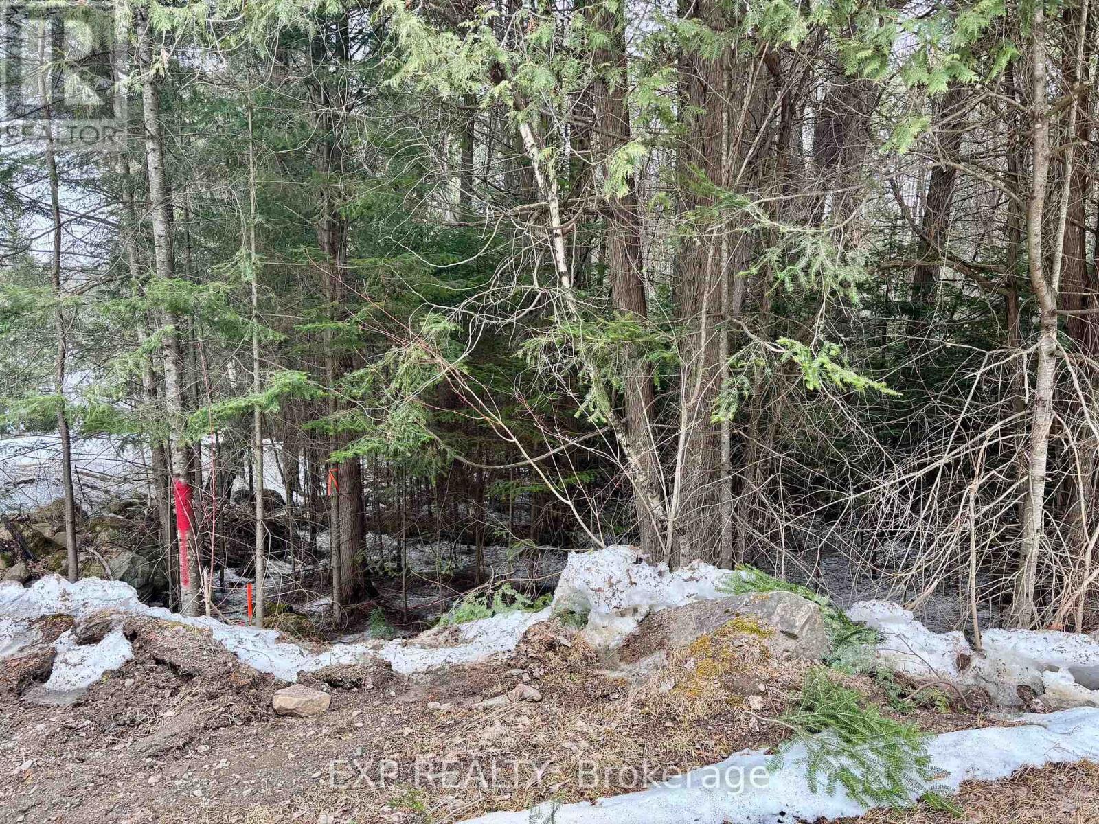 L 149-2 Arbor Vitae Road, Madawaska Valley, Ontario  K0J 1B0 - Photo 16 - X12064503