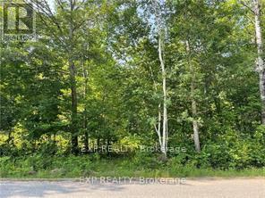 LOT C PARCHER ROAD, Madawaska Valley, Ontario