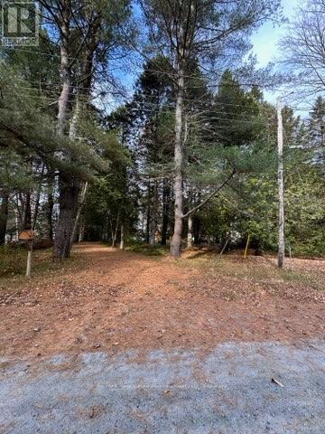 82 Bradley Road, Seguin, Ontario  P2A 2W9 - Photo 33 - X12091439