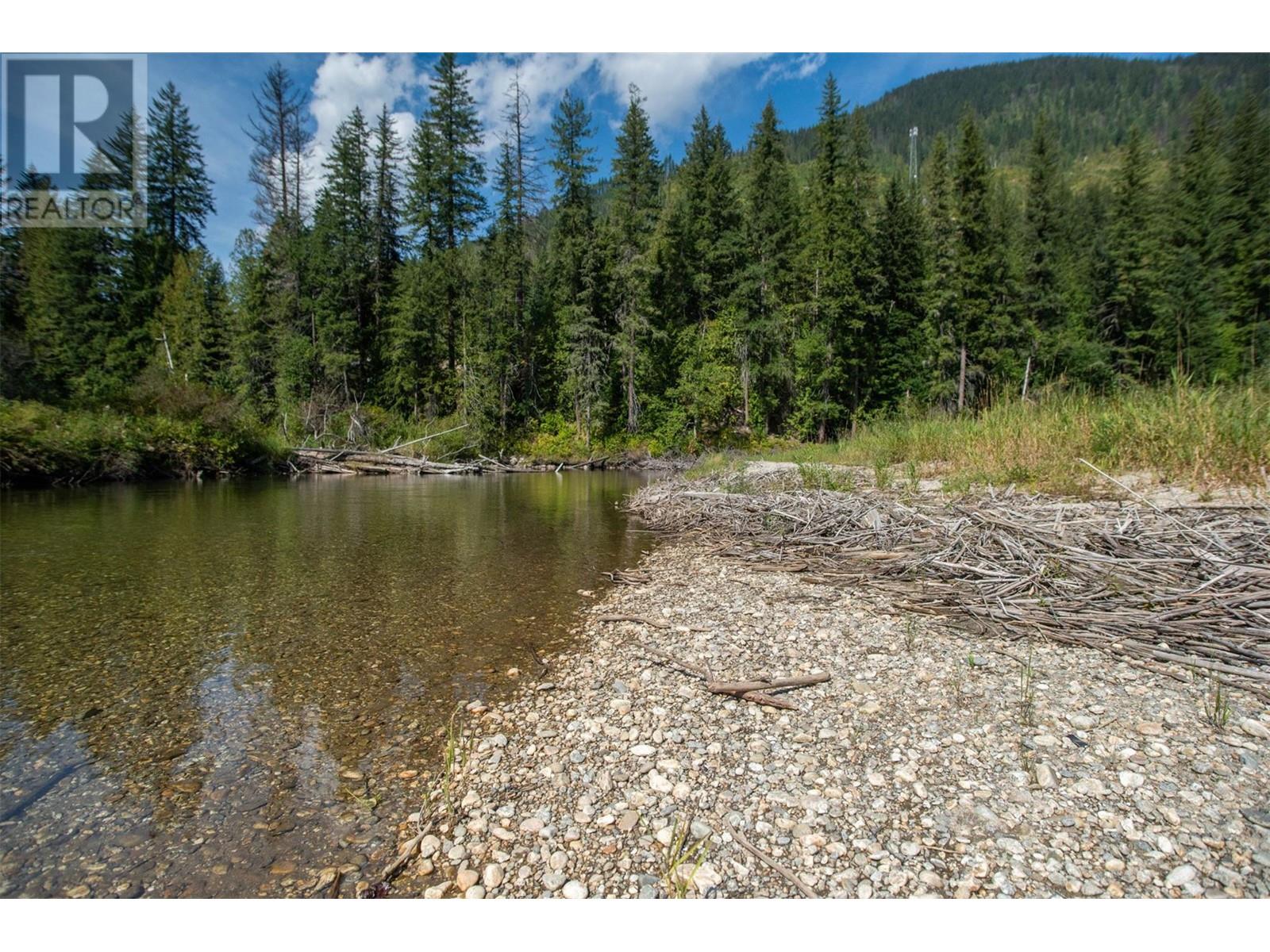 5704 Trans Canada Highway, Malakwa, British Columbia  V0E 2J0 - Photo 11 - 10323567