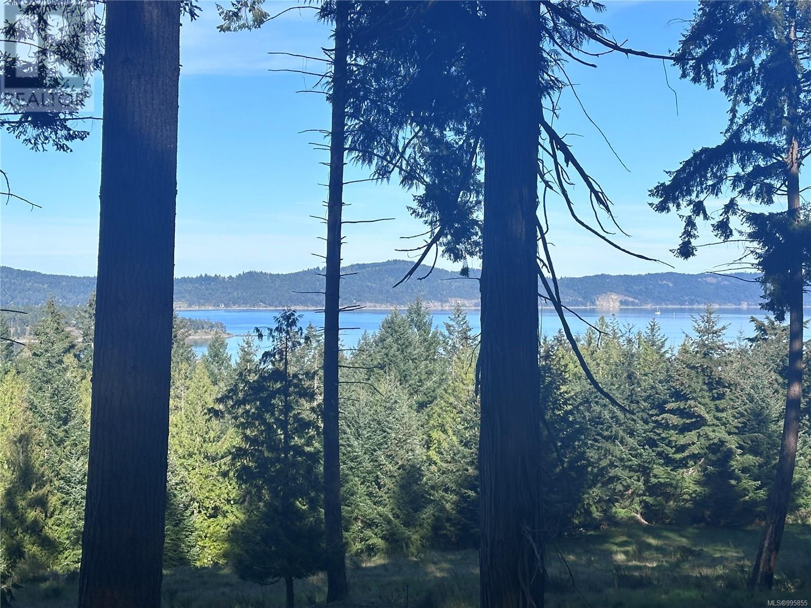 141 Blue Stone Dr, Salt Spring, British Columbia  V8K 1A6 - Photo 19 - 995855