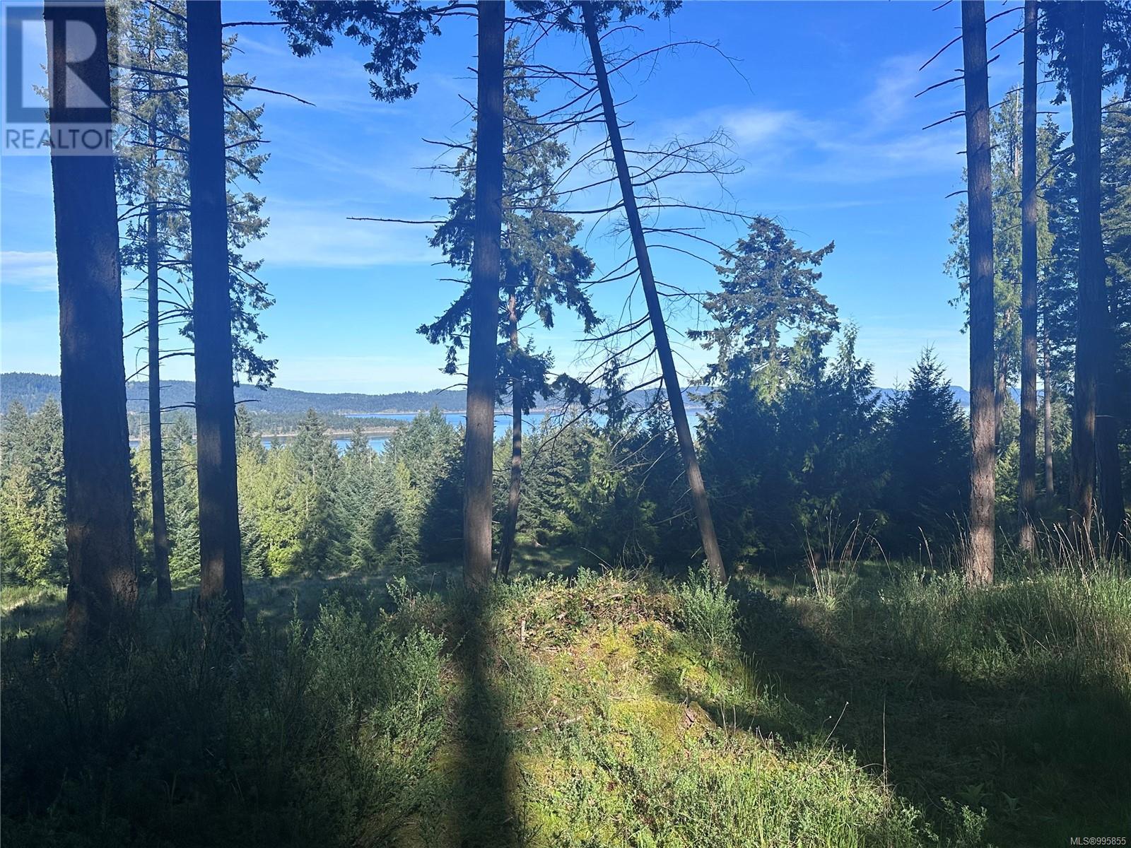 141 Blue Stone Dr, Salt Spring, British Columbia  V8K 1A6 - Photo 18 - 995855
