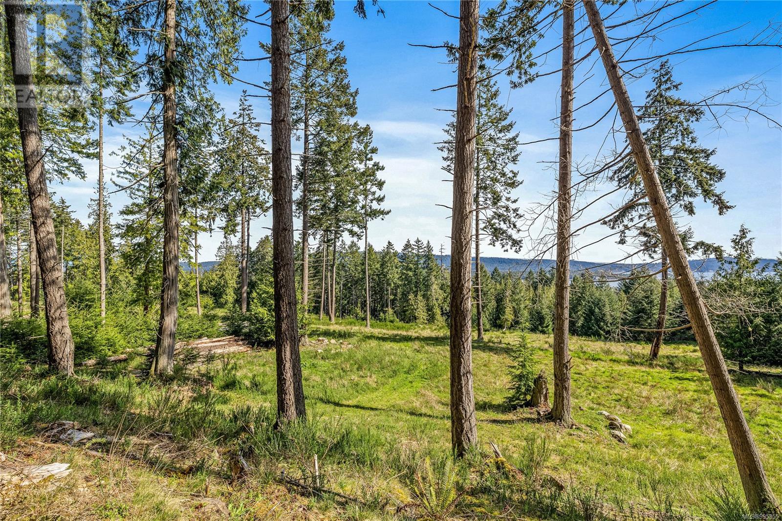 141 Blue Stone Dr, Salt Spring, British Columbia  V8K 1A6 - Photo 8 - 995855