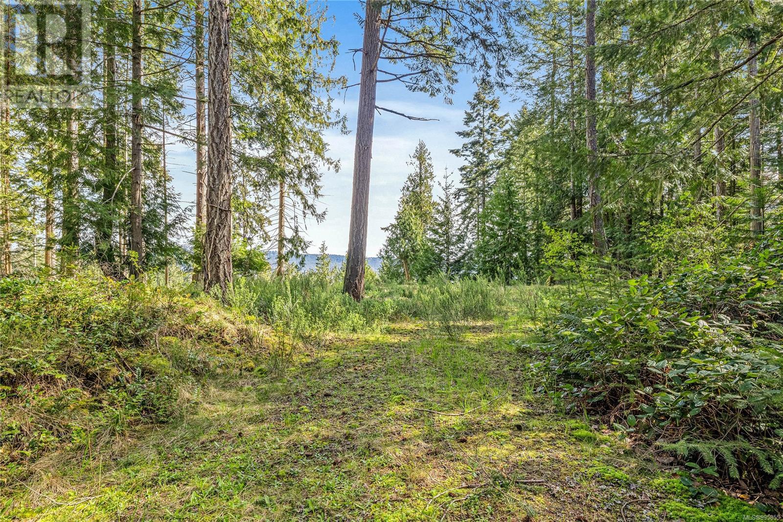 141 Blue Stone Dr, Salt Spring, British Columbia  V8K 1A6 - Photo 3 - 995855