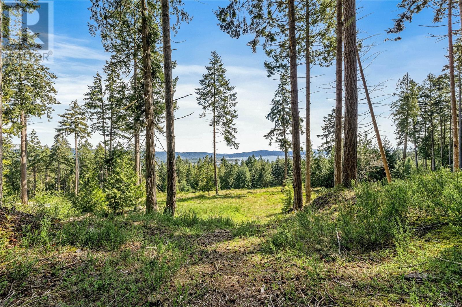 141 Blue Stone Dr, Salt Spring, British Columbia  V8K 1A6 - Photo 7 - 995855
