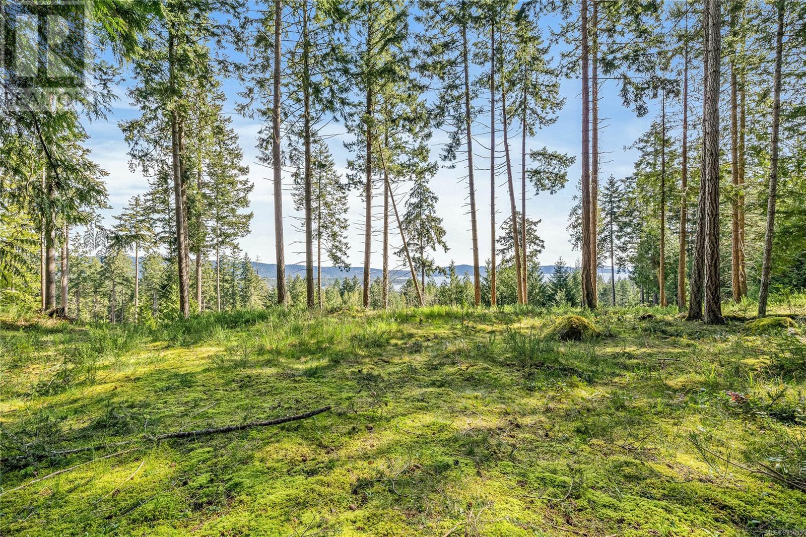 141 Blue Stone Dr, Salt Spring, British Columbia  V8K 1A6 - Photo 6 - 995855