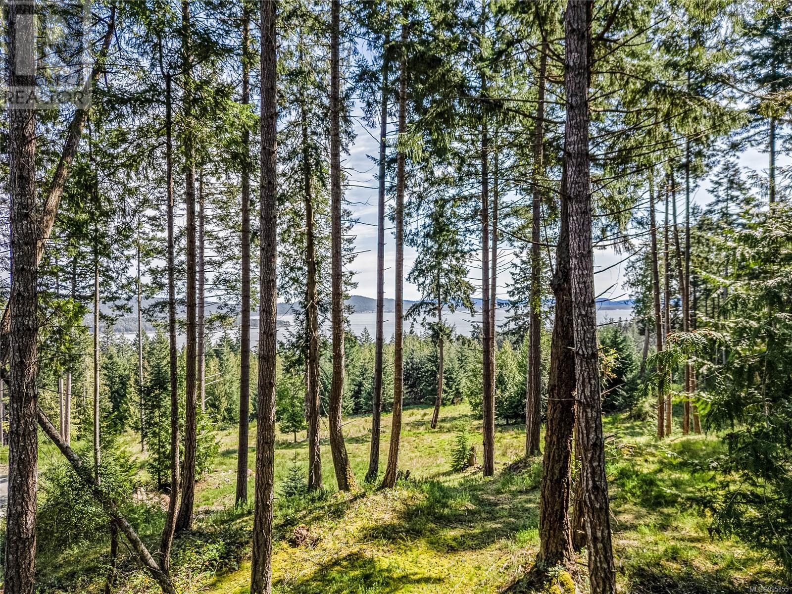 141 Blue Stone Dr, Salt Spring, British Columbia  V8K 1A6 - Photo 15 - 995855