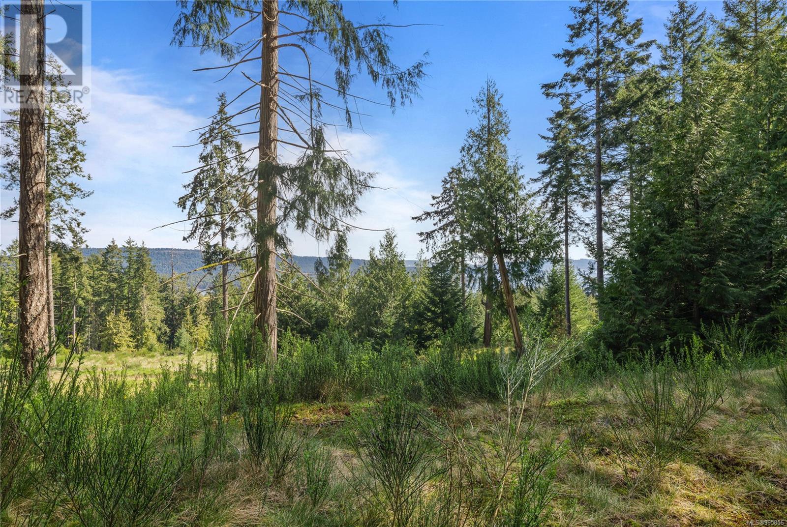 143 Blue Stone Dr, Salt Spring, British Columbia  V8K 1A6 - Photo 11 - 995856