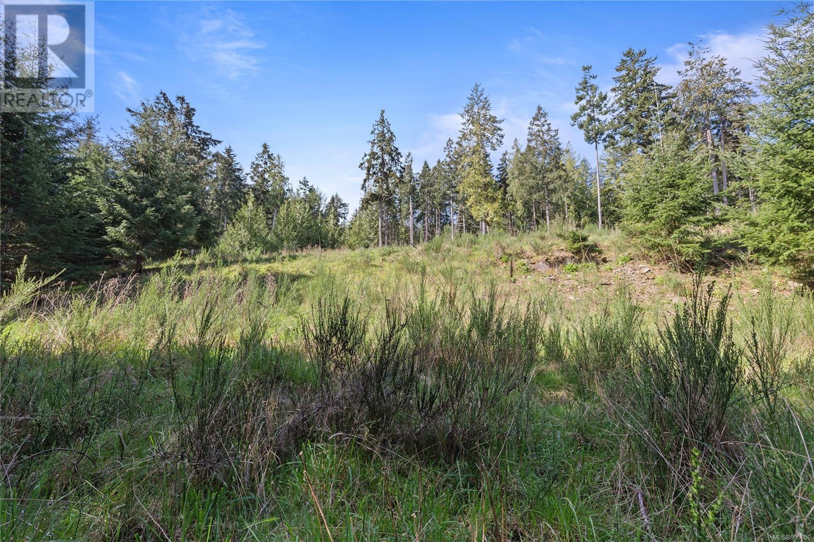 143 Blue Stone Dr, Salt Spring, British Columbia  V8K 1A6 - Photo 4 - 995856