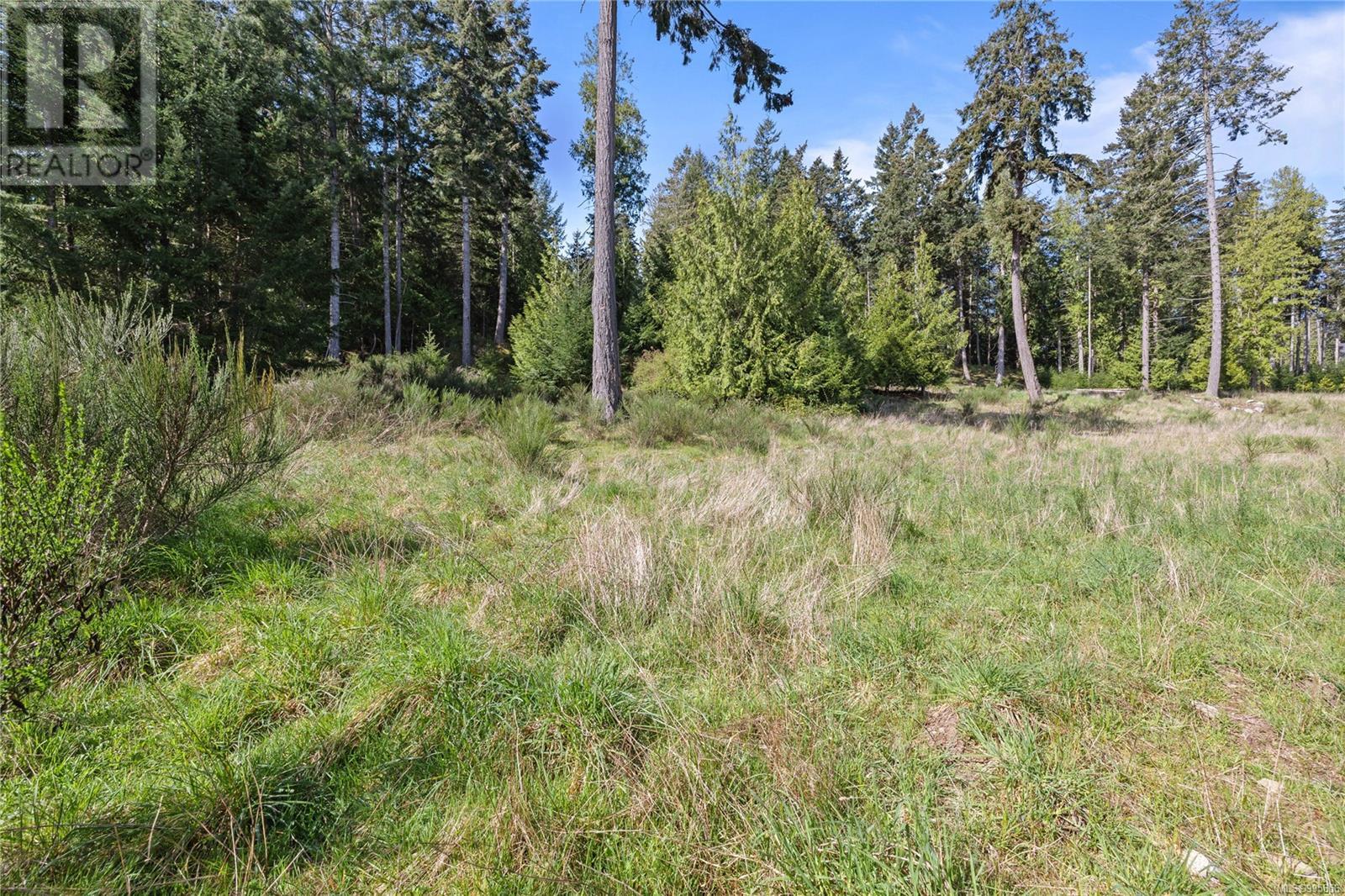 143 Blue Stone Dr, Salt Spring, British Columbia  V8K 1A6 - Photo 5 - 995856