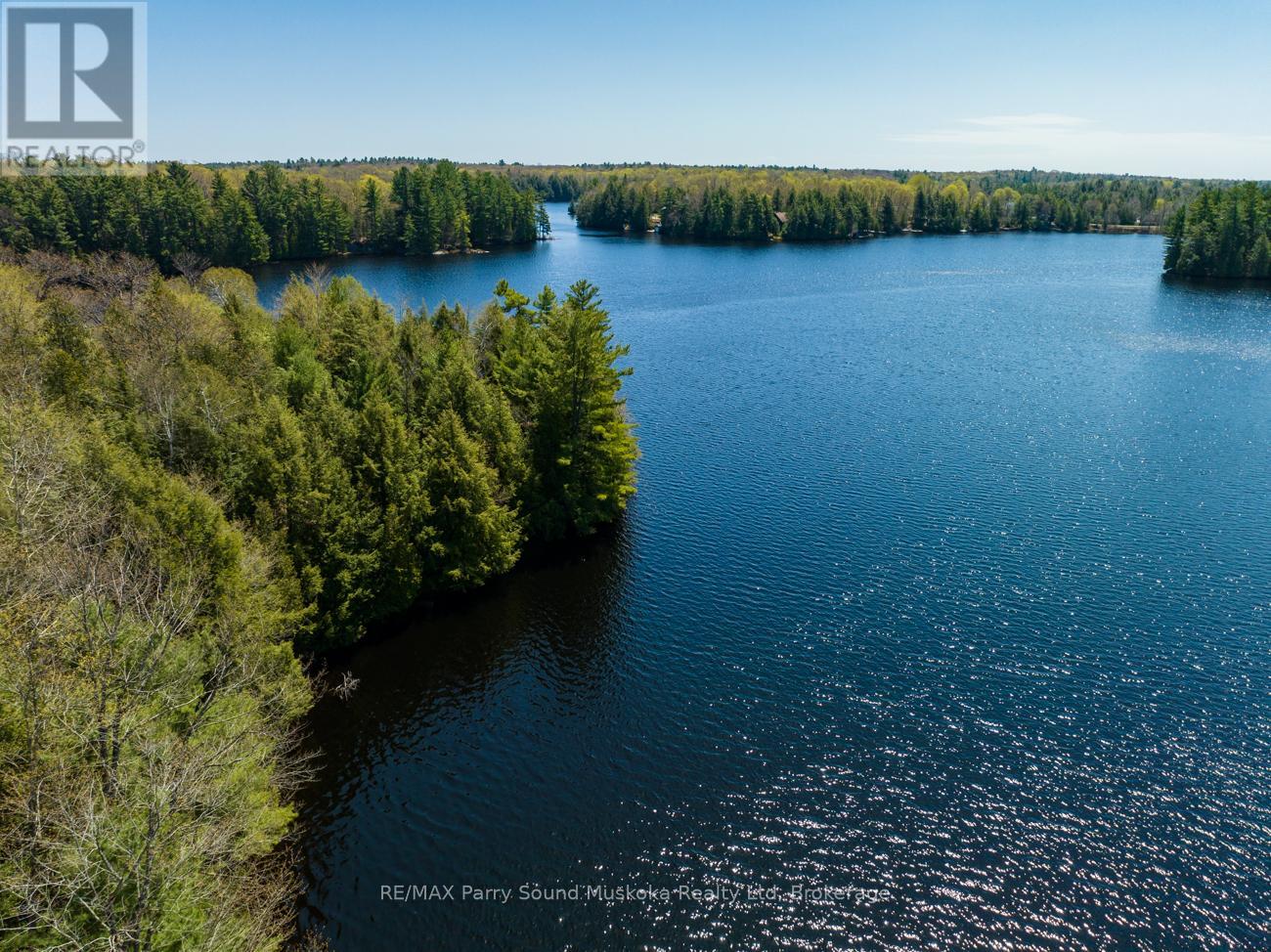 31 Pauls Bay Road, Mcdougall, Ontario  P2A 2W7 - Photo 22 - X12091558