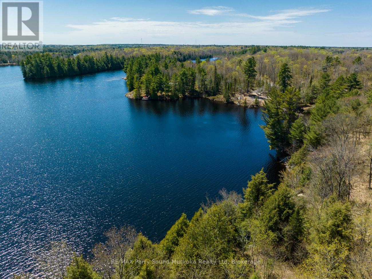 31 Pauls Bay Road, Mcdougall, Ontario  P2A 2W7 - Photo 4 - X12091558