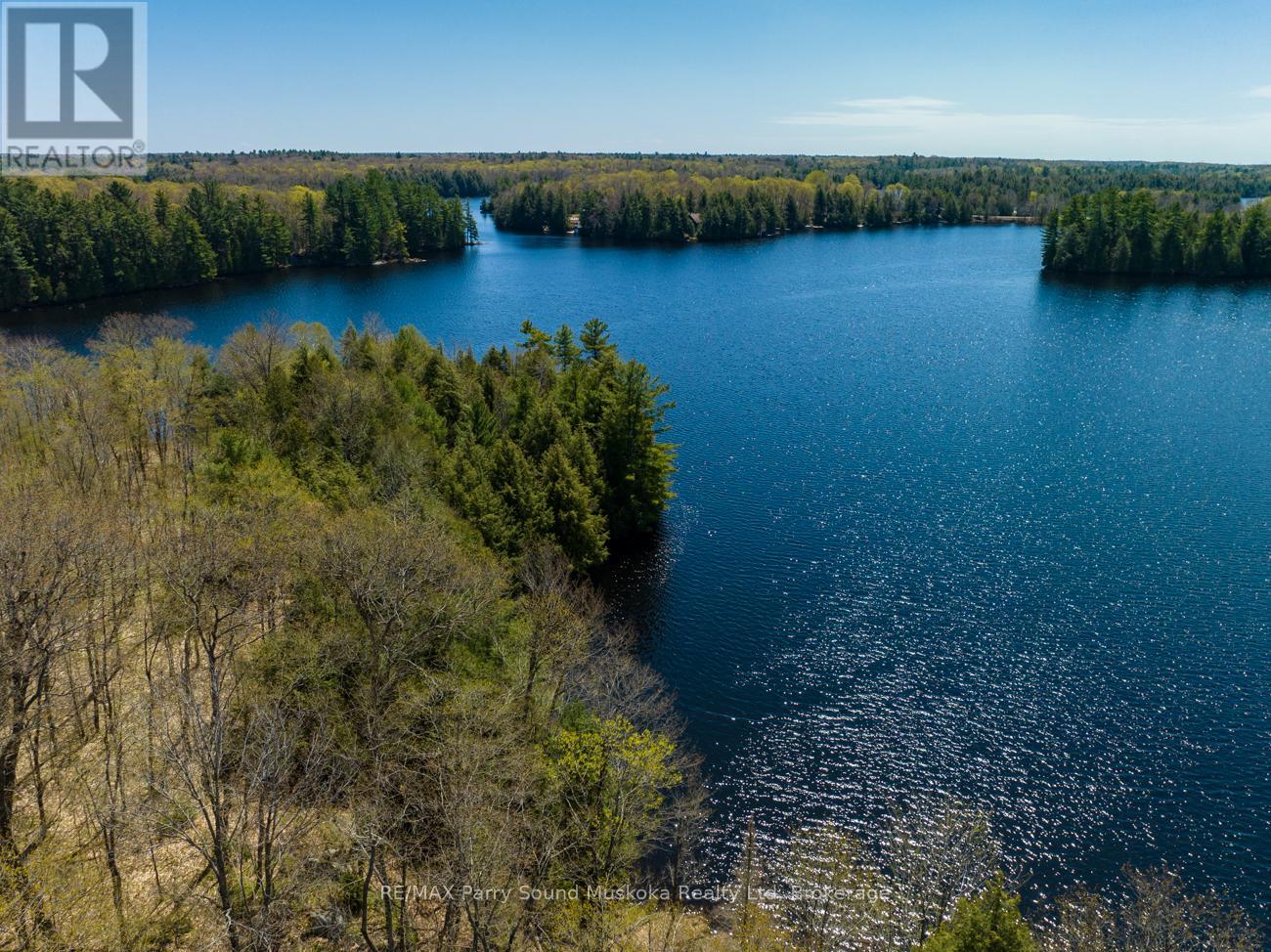 31 Pauls Bay Road, Mcdougall, Ontario  P2A 2W7 - Photo 5 - X12091558