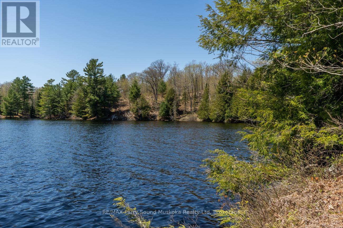 33 Pauls Bay Road, Mcdougall, Ontario  P2A 2W7 - Photo 19 - X12091577