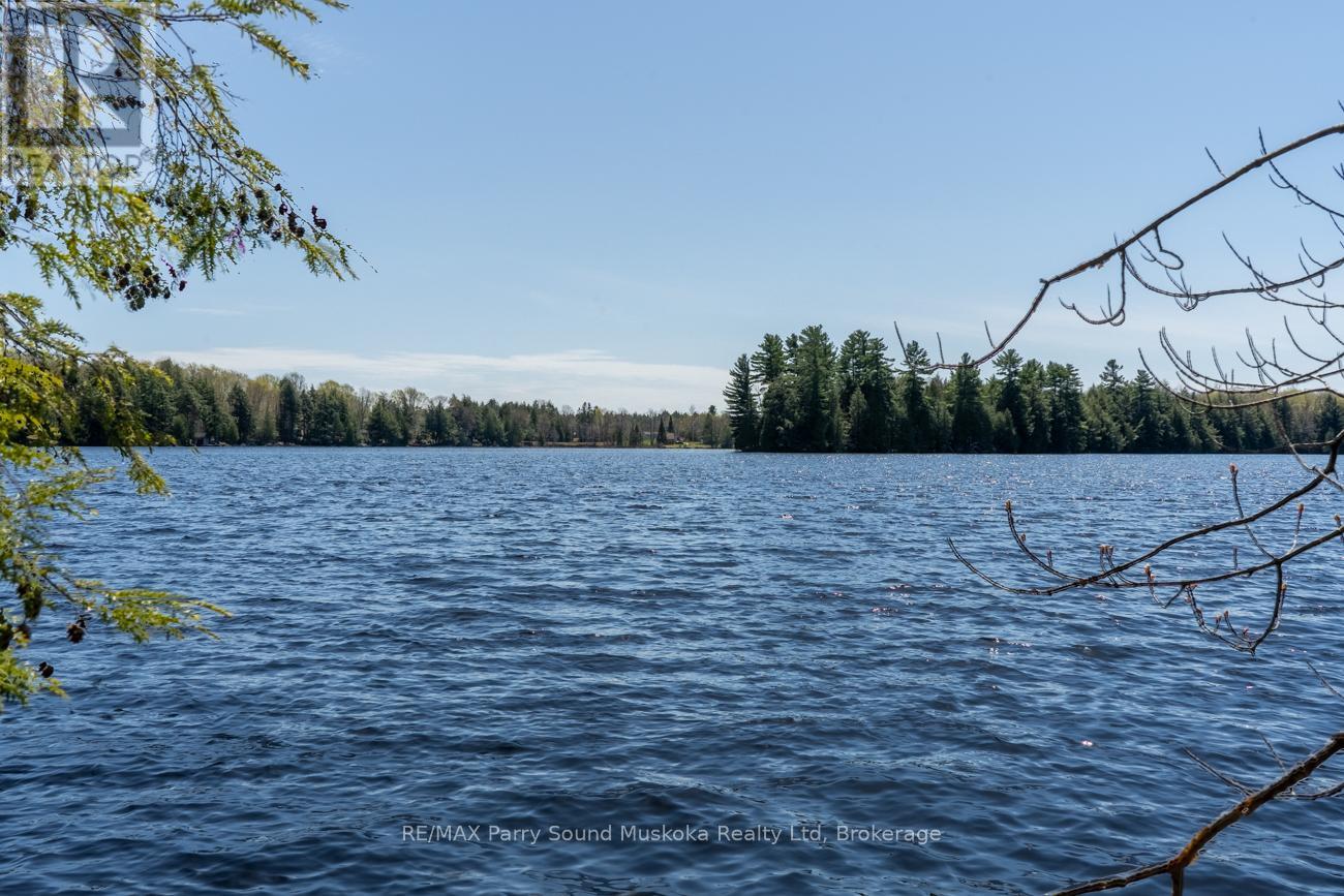 33 Pauls Bay Road, Mcdougall, Ontario  P2A 2W7 - Photo 21 - X12091577