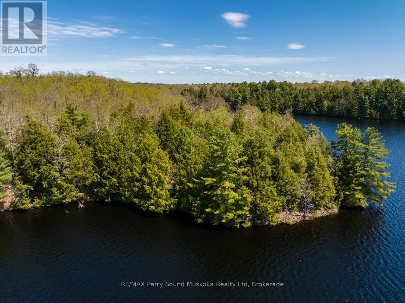 33 Pauls Bay Road, Mcdougall, Ontario  P2A 2W7 - Photo 9 - X12091577