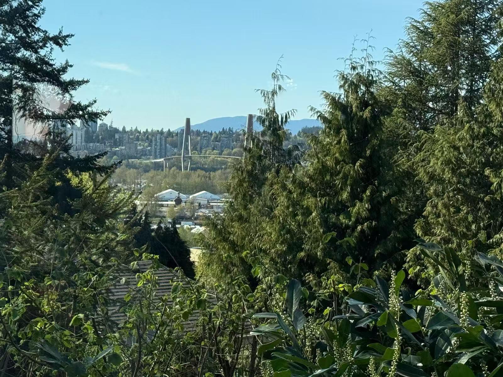 10501 125b Street, Surrey, British Columbia  V3V 5A8 - Photo 34 - R2985035