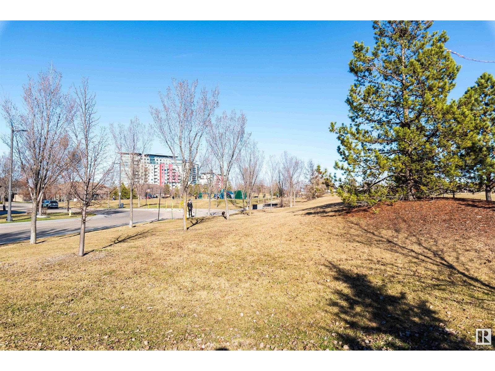 1003 Armitage Cr Sw, Edmonton, Alberta  T6W 0H3 - Photo 49 - E4431643