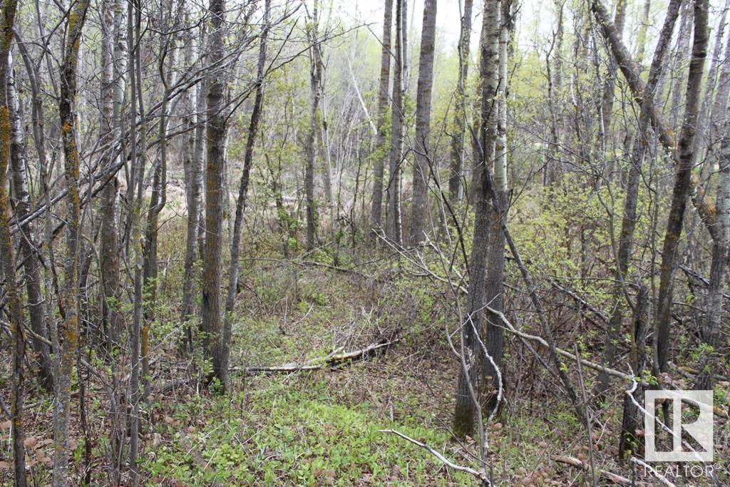 277 50418 Rge Rd 202, Rural Beaver County, Alberta  T0B 4J2 - Photo 10 - E4414692