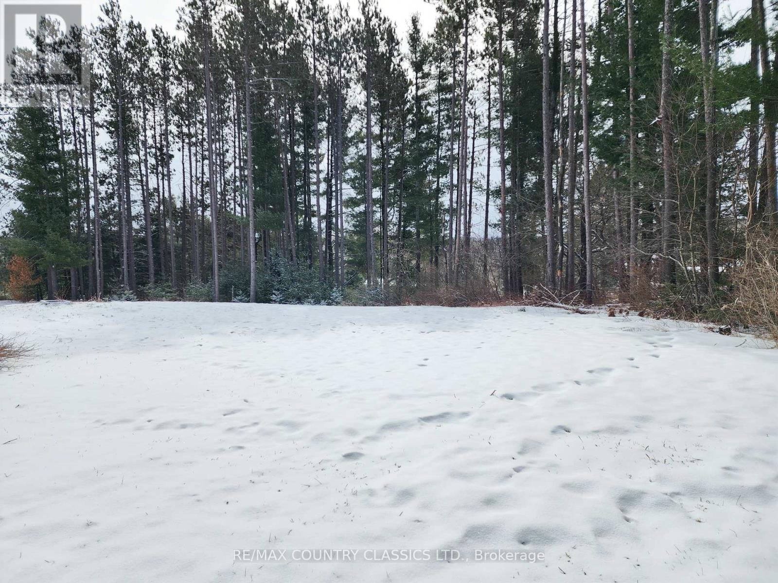 43 Norman Lane, Wollaston, Ontario  K0L 1P0 - Photo 12 - X12041122