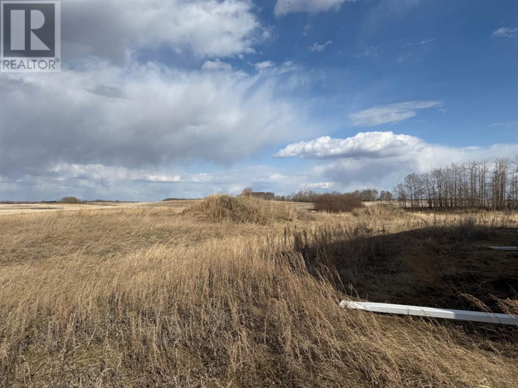 39301 Hwy 835, Rural Stettler No. 6, Alberta  T0C 2L0 - Photo 12 - A2211832