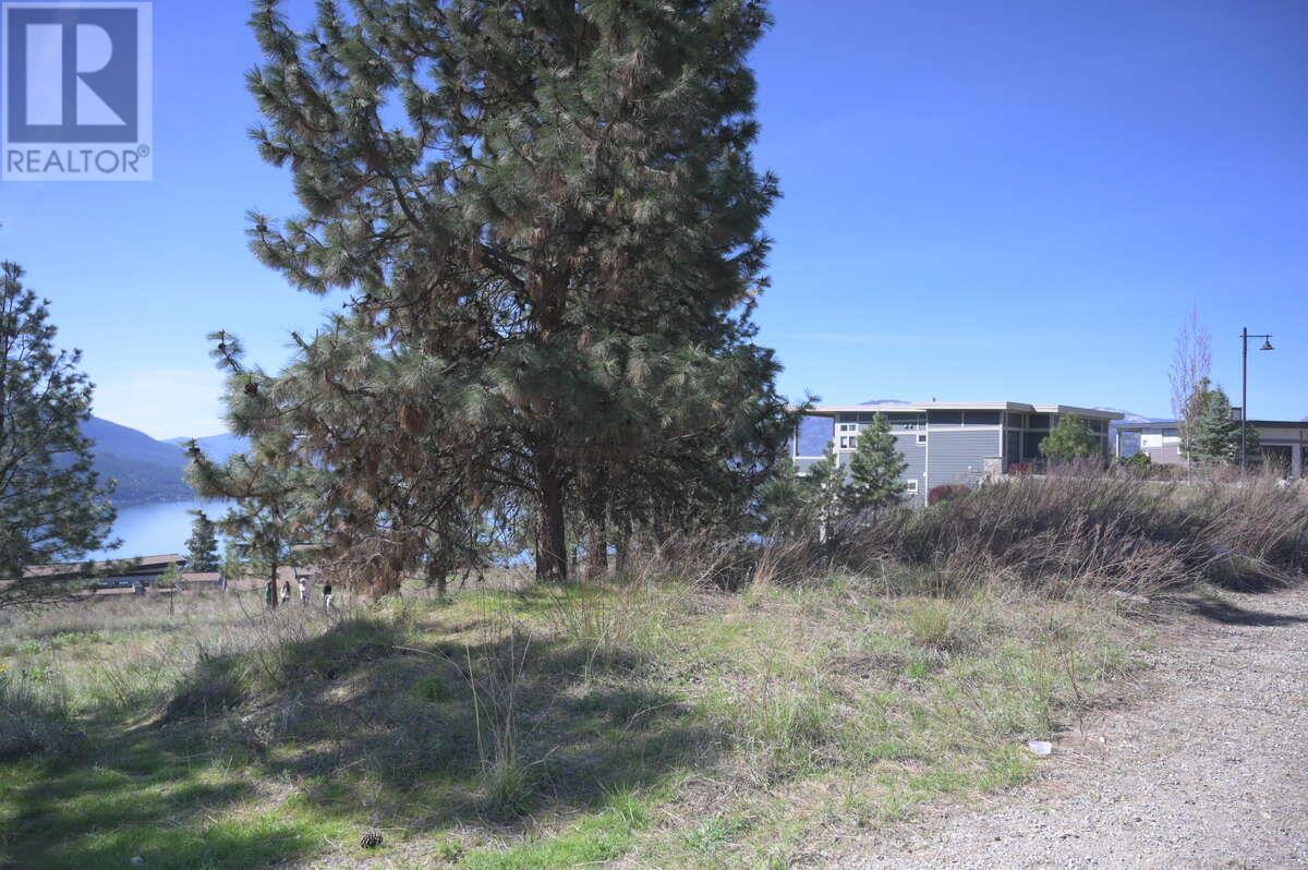 8948 Davidson Place, Vernon, British Columbia  V1H 2K9 - Photo 28 - 10335296