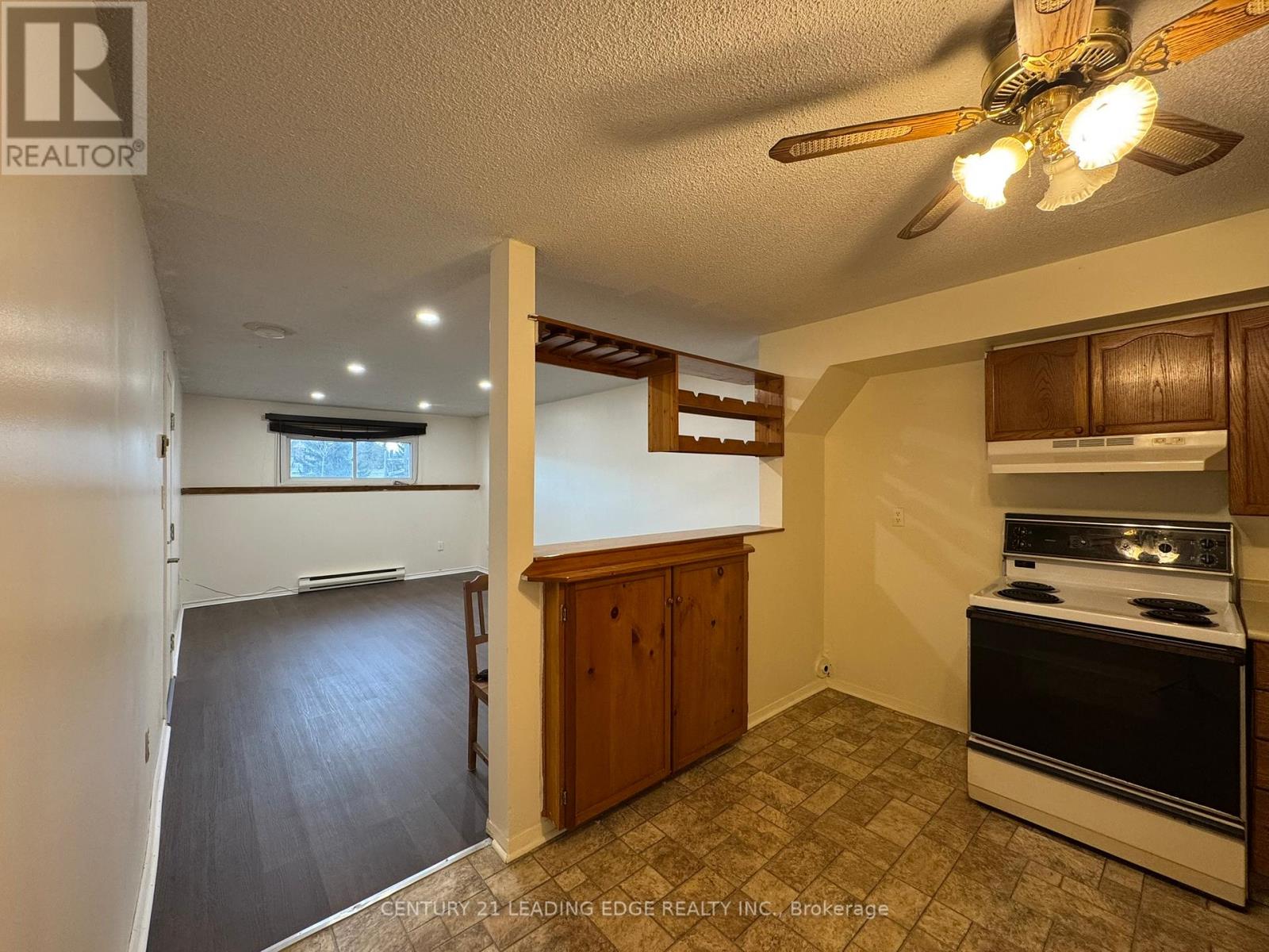 Lower - 29 Wellington Avenue E, Oshawa, Ontario  L1H 8P1 - Photo 4 - E12091841