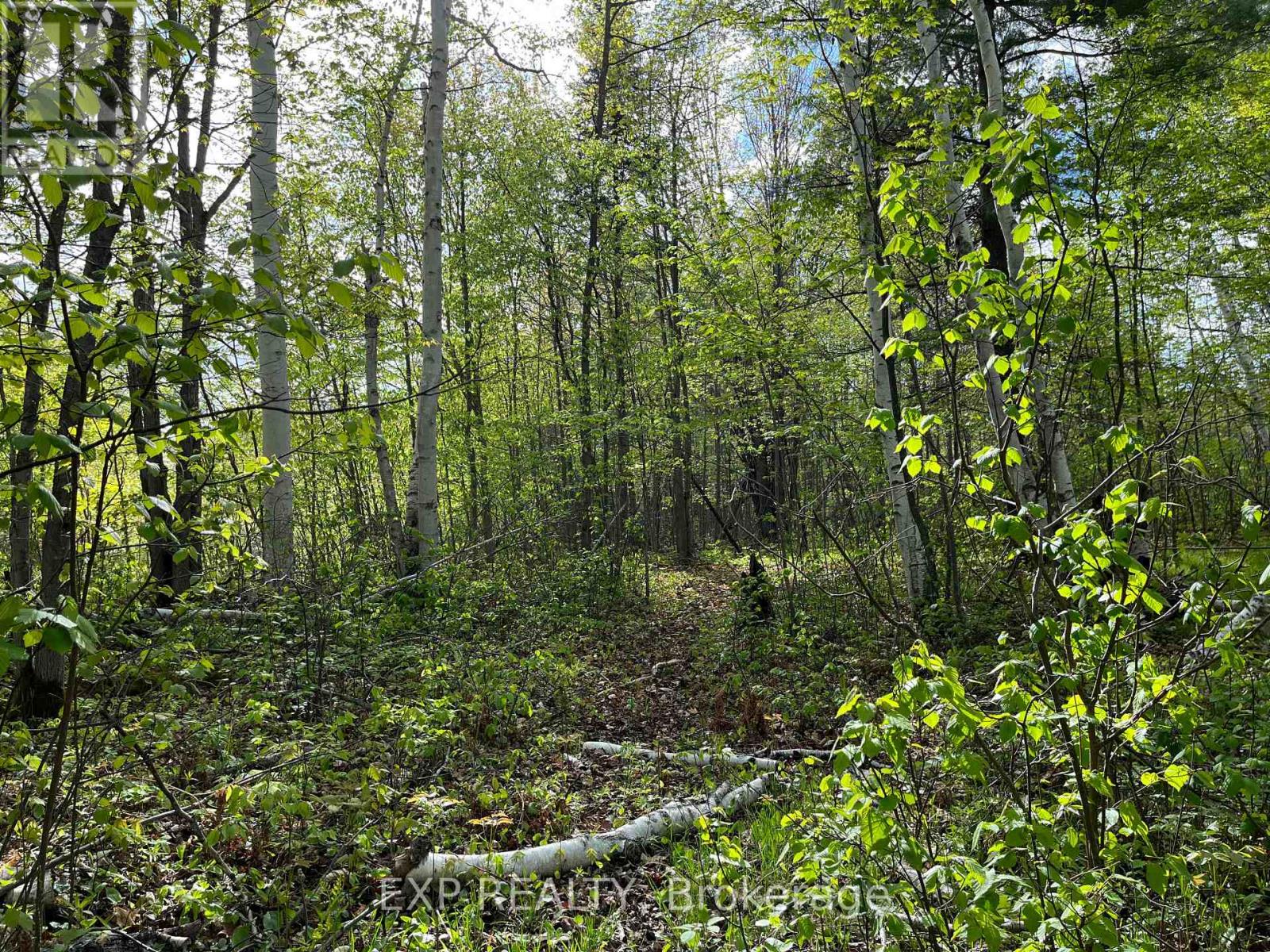Lot 4 Sandy Shores Trail, Madawaska Valley, Ontario  K0J 1B0 - Photo 4 - X12091915