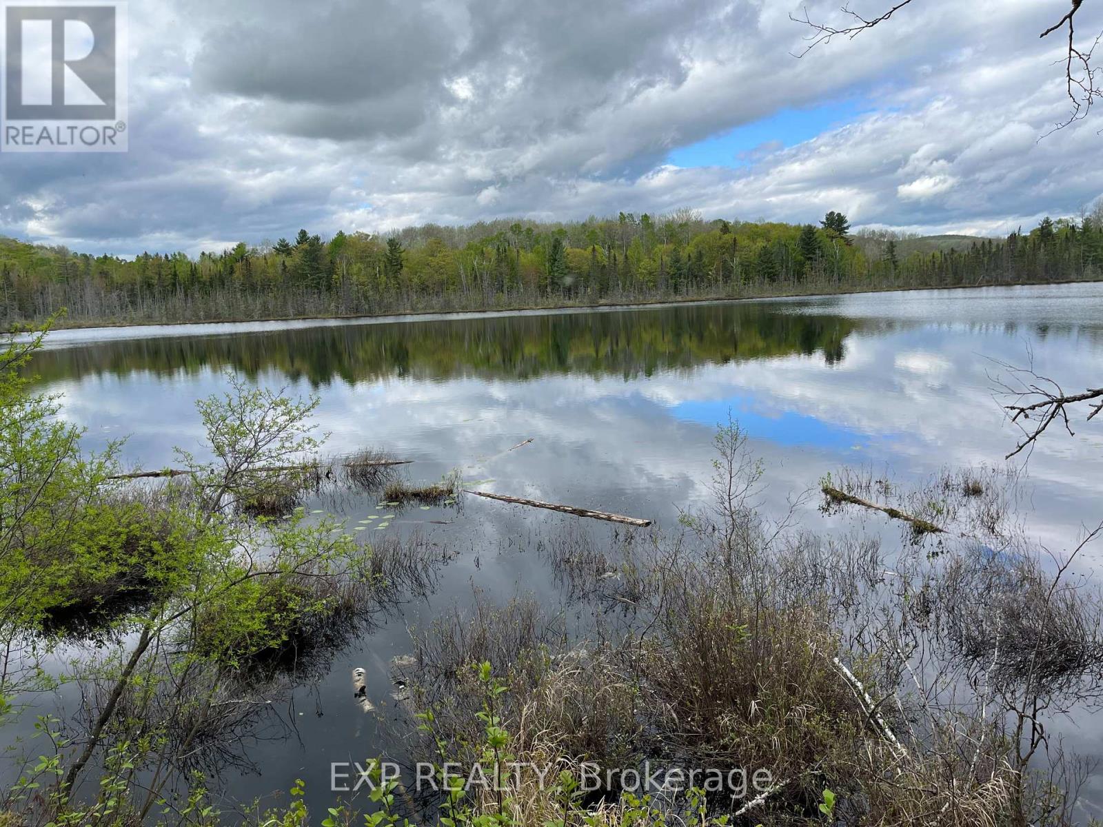 Lot 8 Casson Trail, Madawaska Valley, Ontario  K0J 1B0 - Photo 3 - X12091917