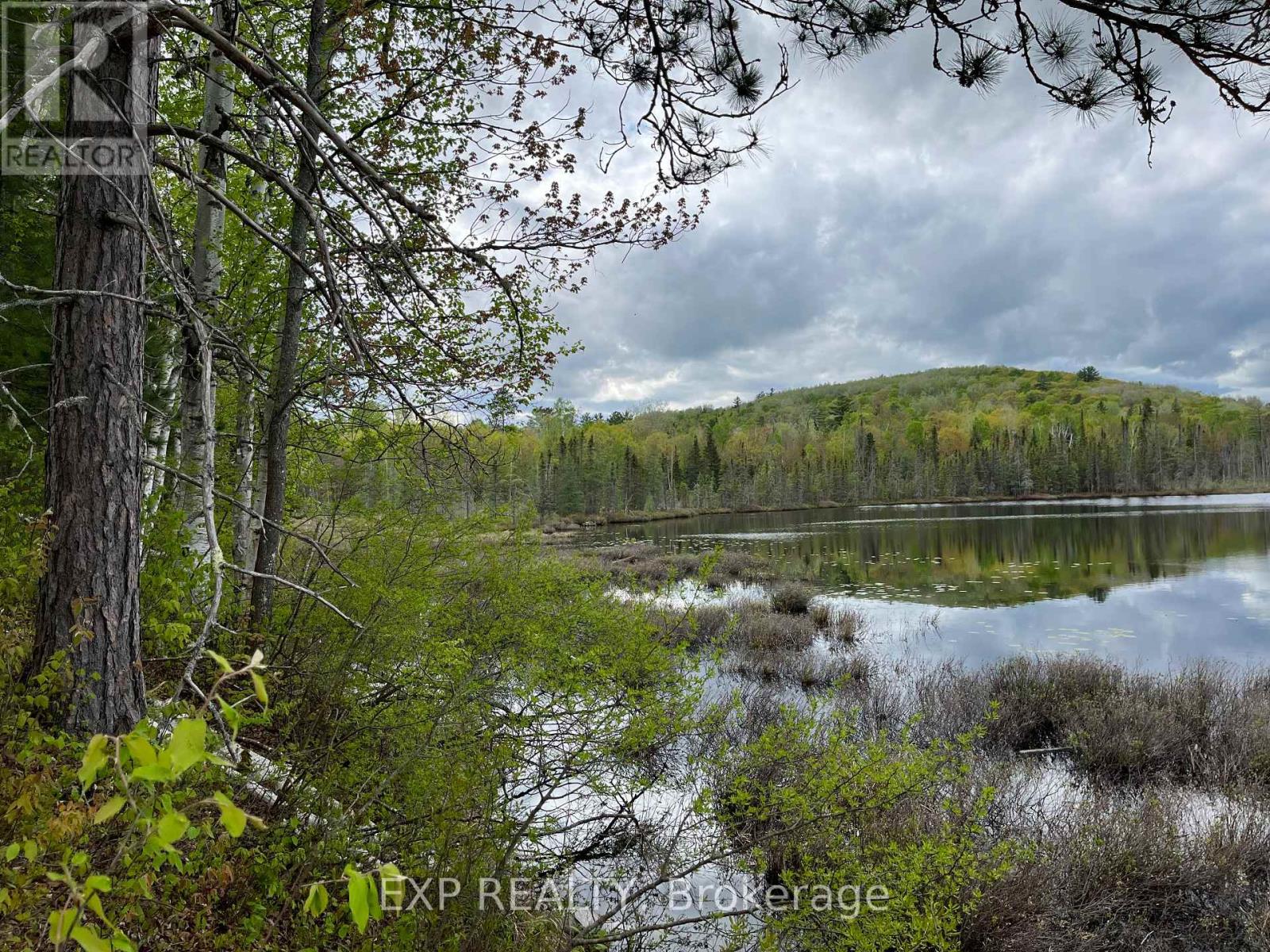 Lot 8 Casson Trail, Madawaska Valley, Ontario  K0J 1B0 - Photo 4 - X12091917
