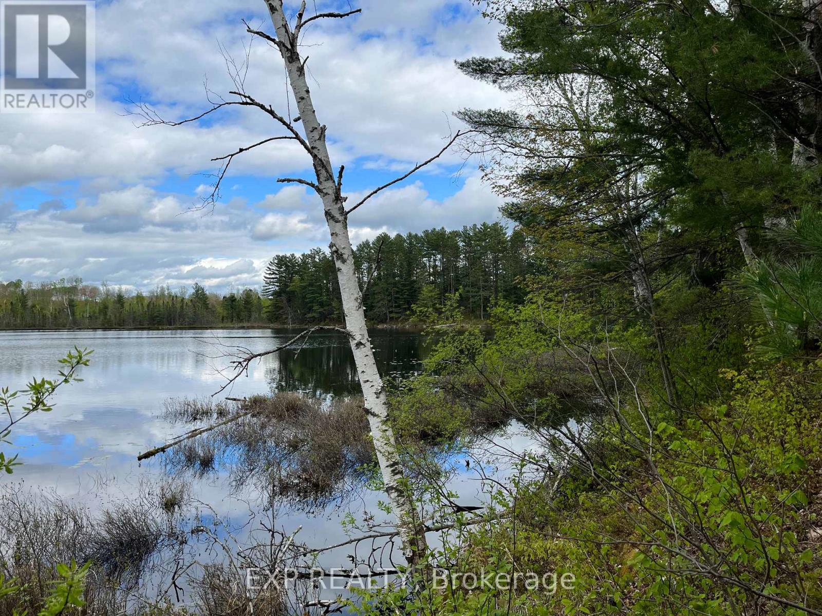 Lot 8 Casson Trail, Madawaska Valley, Ontario  K0J 1B0 - Photo 5 - X12091917