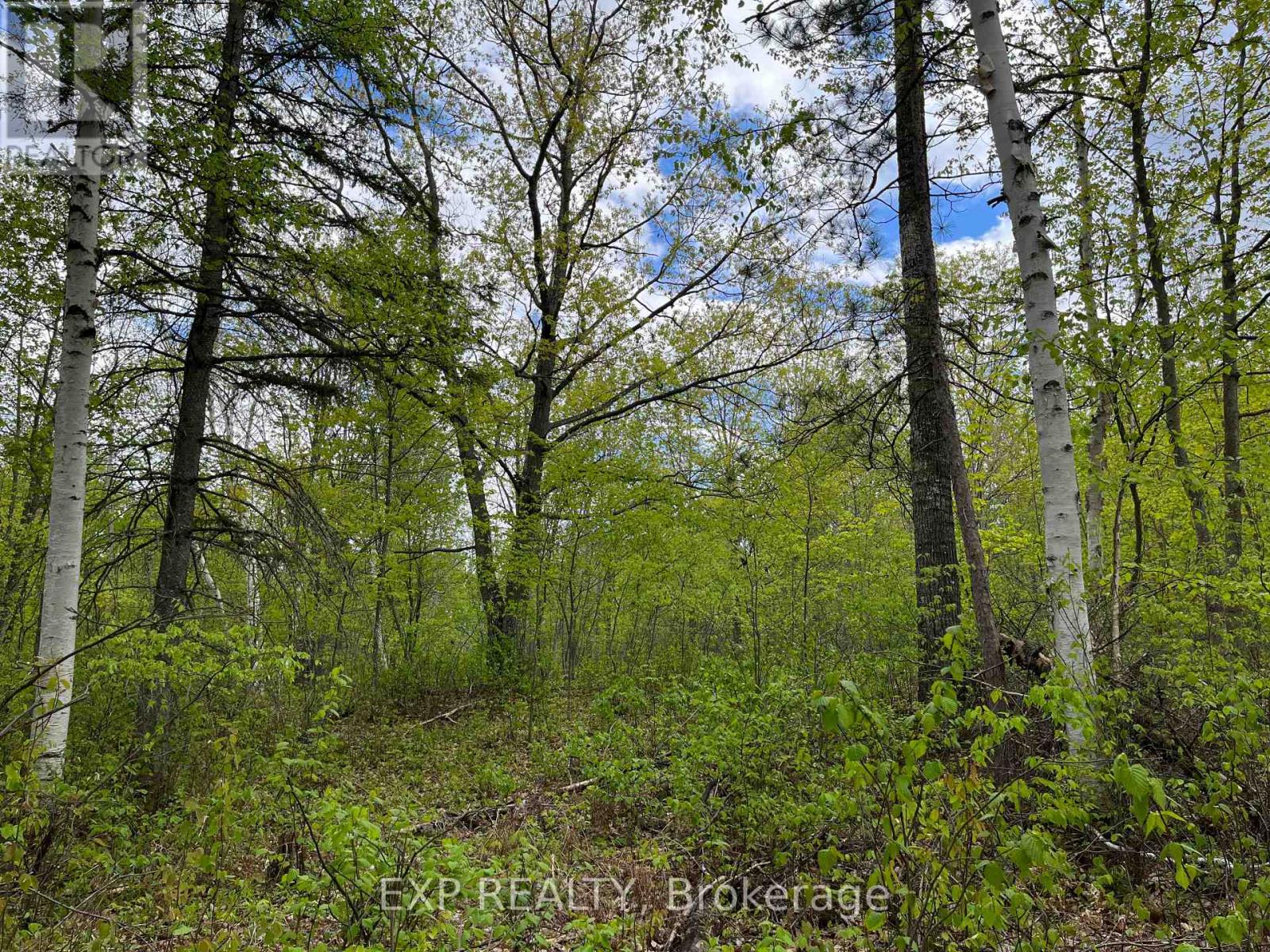 Lot 8 Casson Trail, Madawaska Valley, Ontario  K0J 1B0 - Photo 6 - X12091917