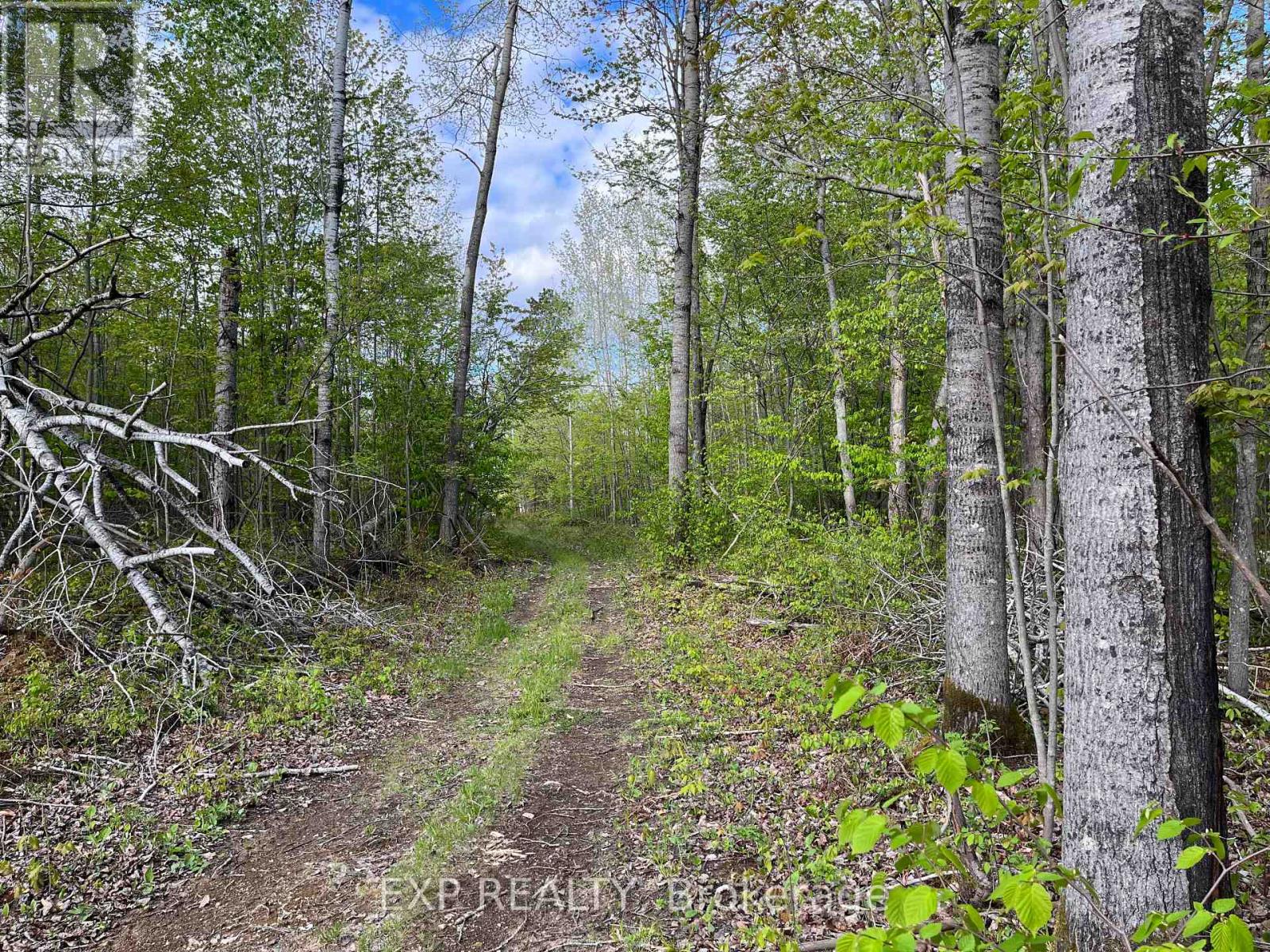 Lot 8 Casson Trail, Madawaska Valley, Ontario  K0J 1B0 - Photo 8 - X12091917