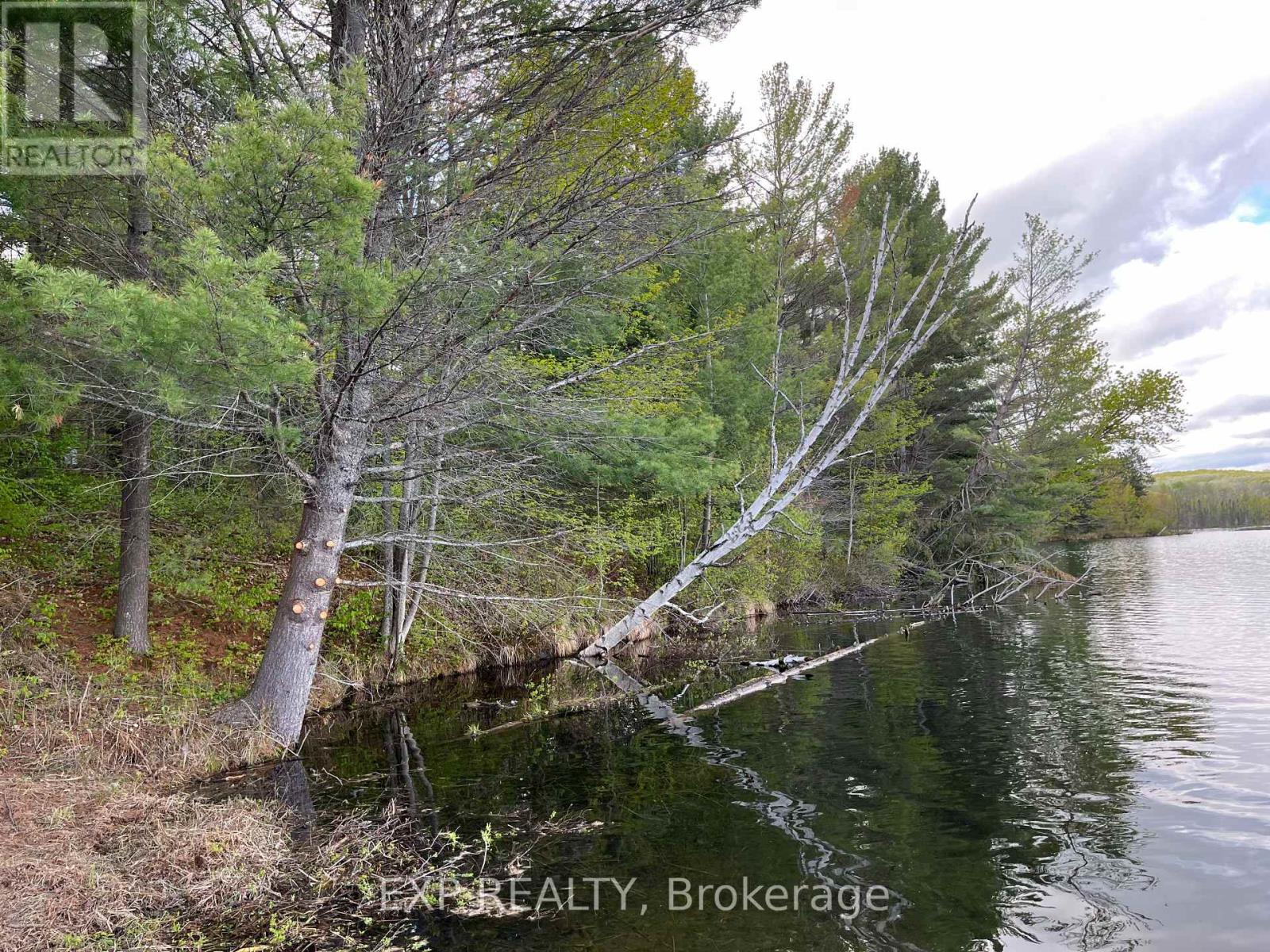 Lot 13 Sandy Shores Trail, Madawaska Valley, Ontario  K0J 1B0 - Photo 1 - X12091918