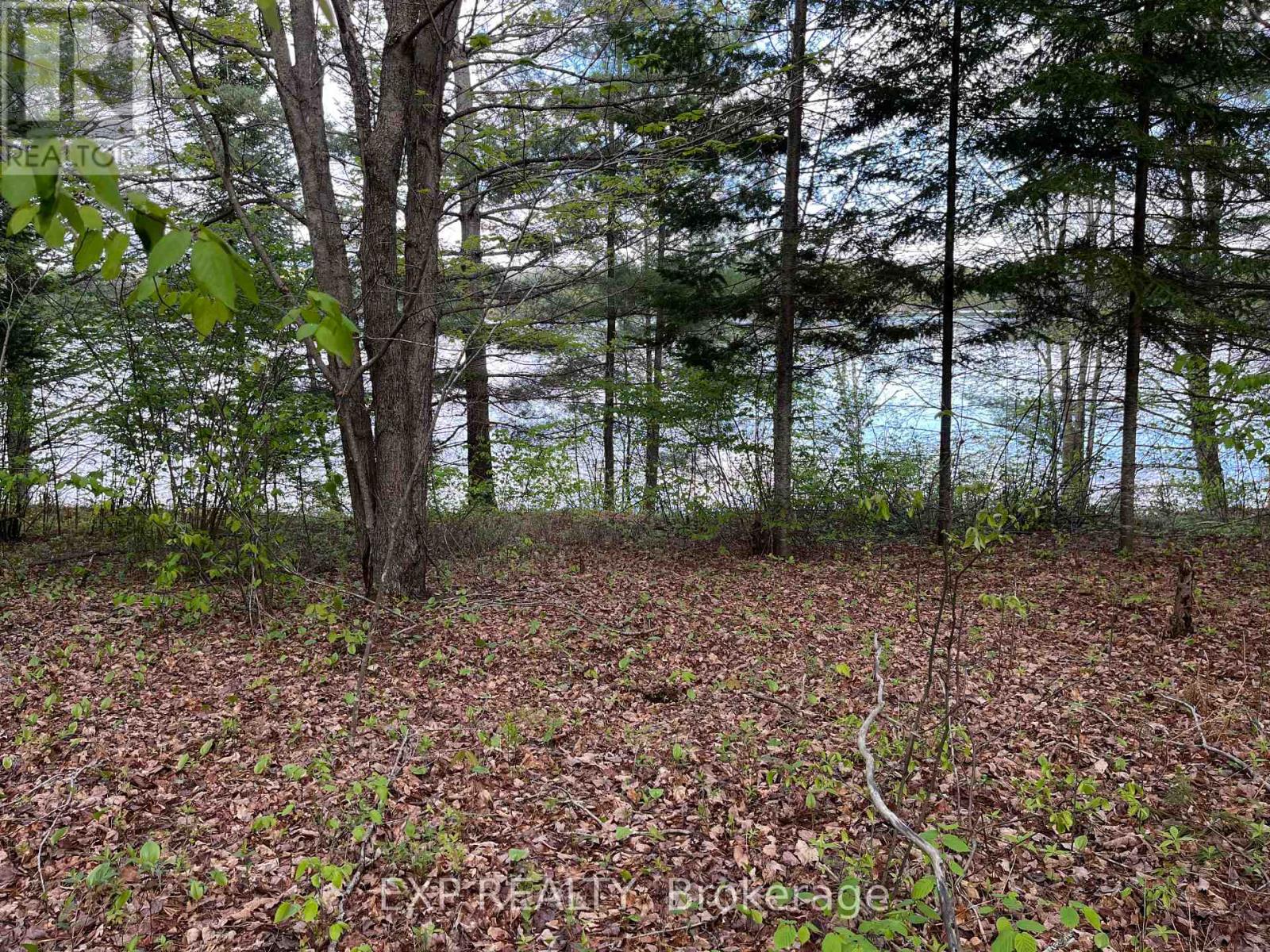 Lot 13 Sandy Shores Trail, Madawaska Valley, Ontario  K0J 1B0 - Photo 3 - X12091918