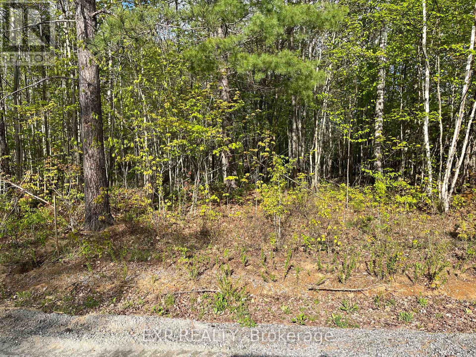 Lot 13 Sandy Shores Trail, Madawaska Valley, Ontario  K0J 1B0 - Photo 7 - X12091918