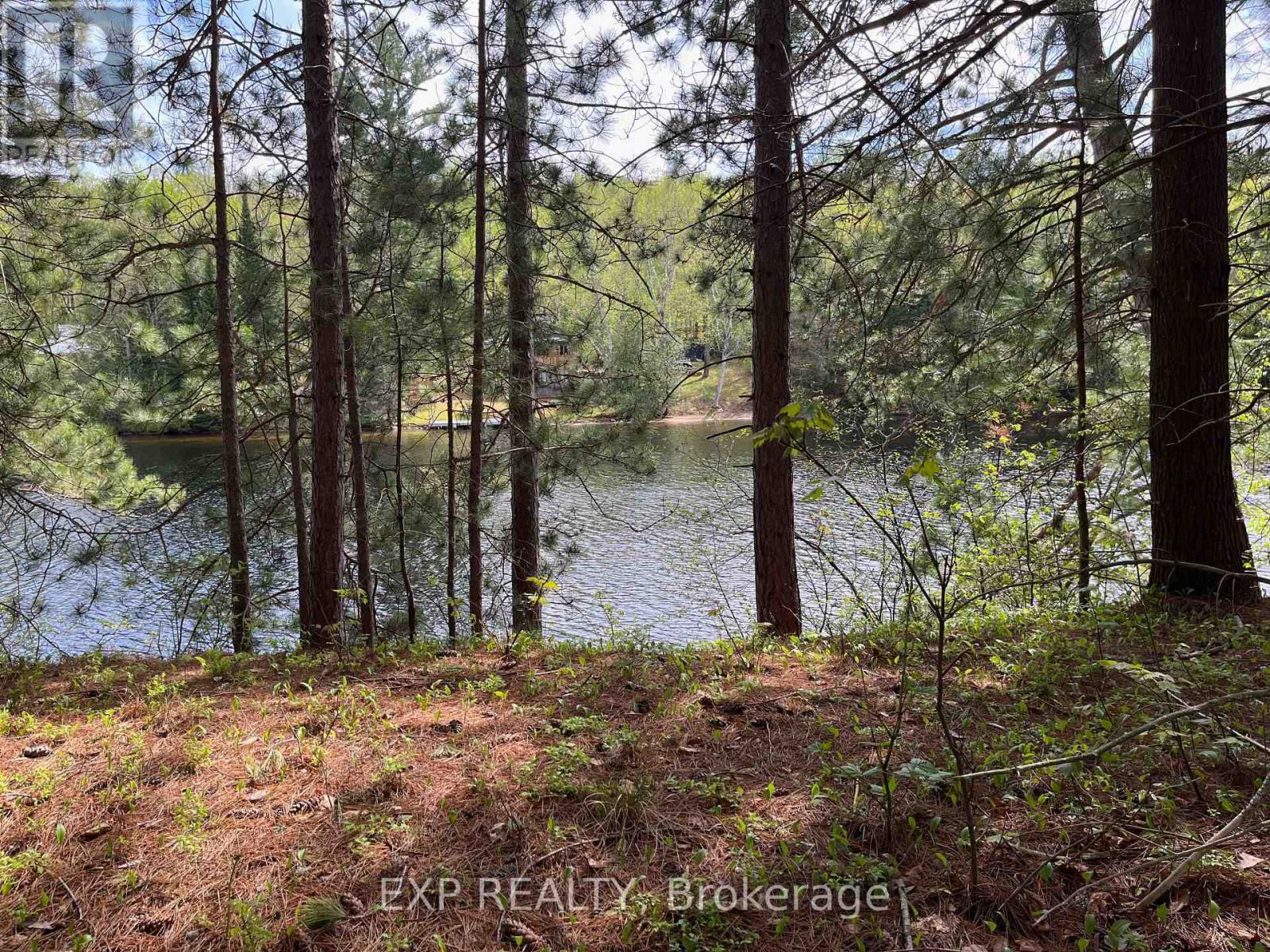 Lot 29 Sandy Shores Trail, Madawaska Valley, Ontario  K0J 1B0 - Photo 1 - X12091919