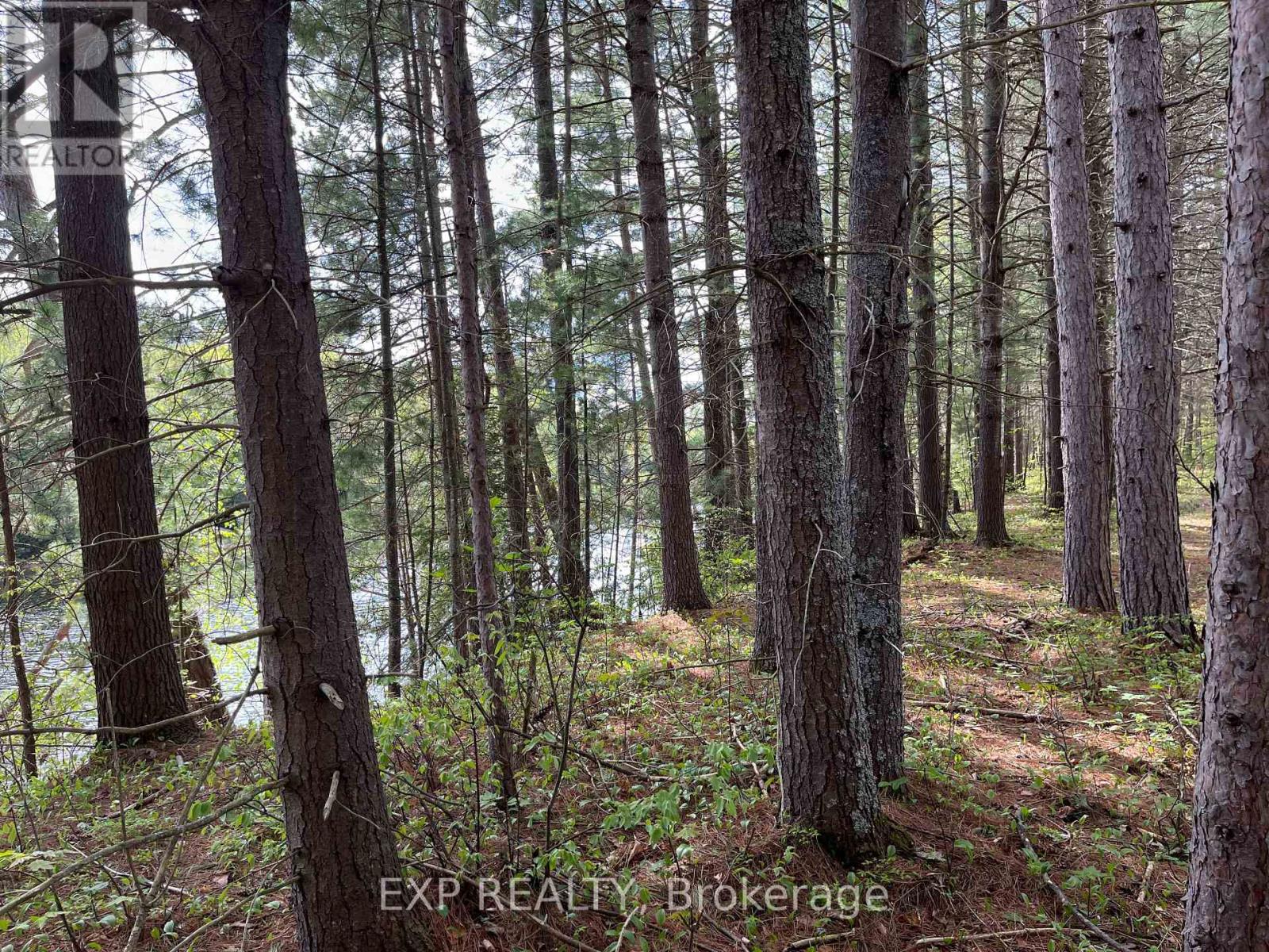 Lot 29 Sandy Shores Trail, Madawaska Valley, Ontario  K0J 1B0 - Photo 3 - X12091919