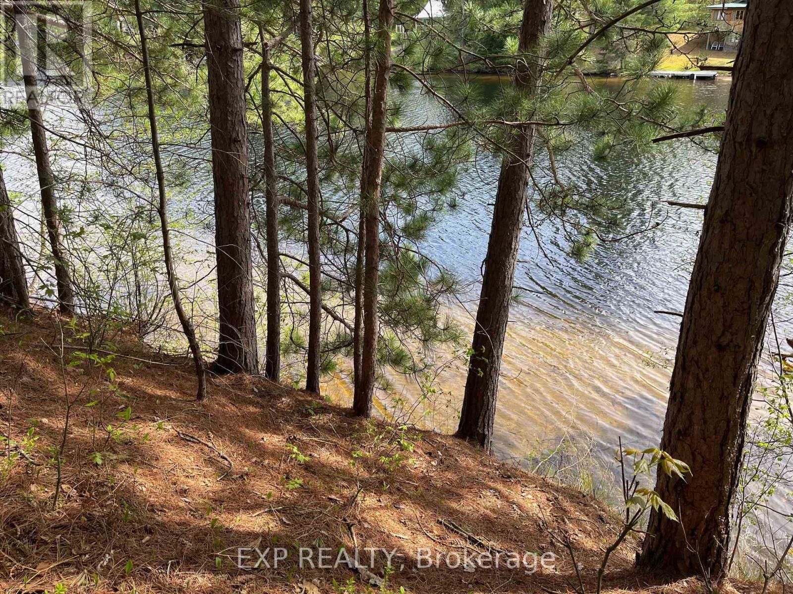 Lot 29 Sandy Shores Trail, Madawaska Valley, Ontario  K0J 1B0 - Photo 4 - X12091919