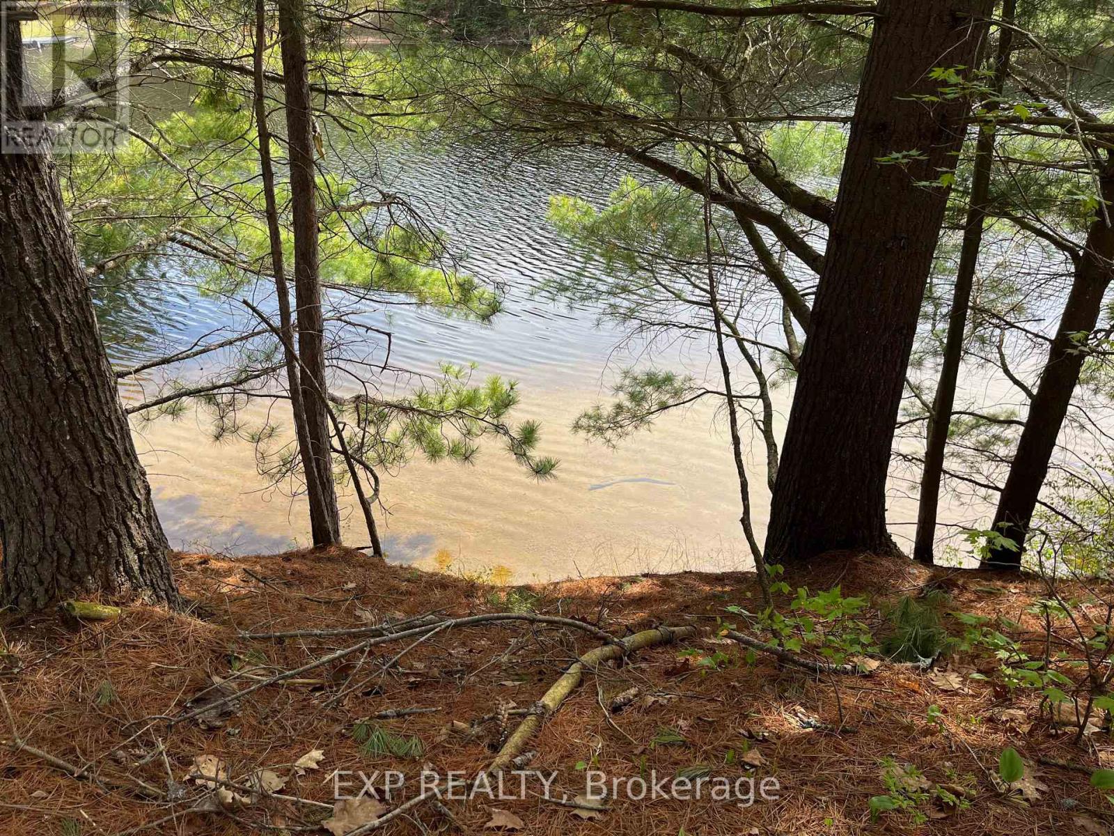 Lot 29 Sandy Shores Trail, Madawaska Valley, Ontario  K0J 1B0 - Photo 5 - X12091919