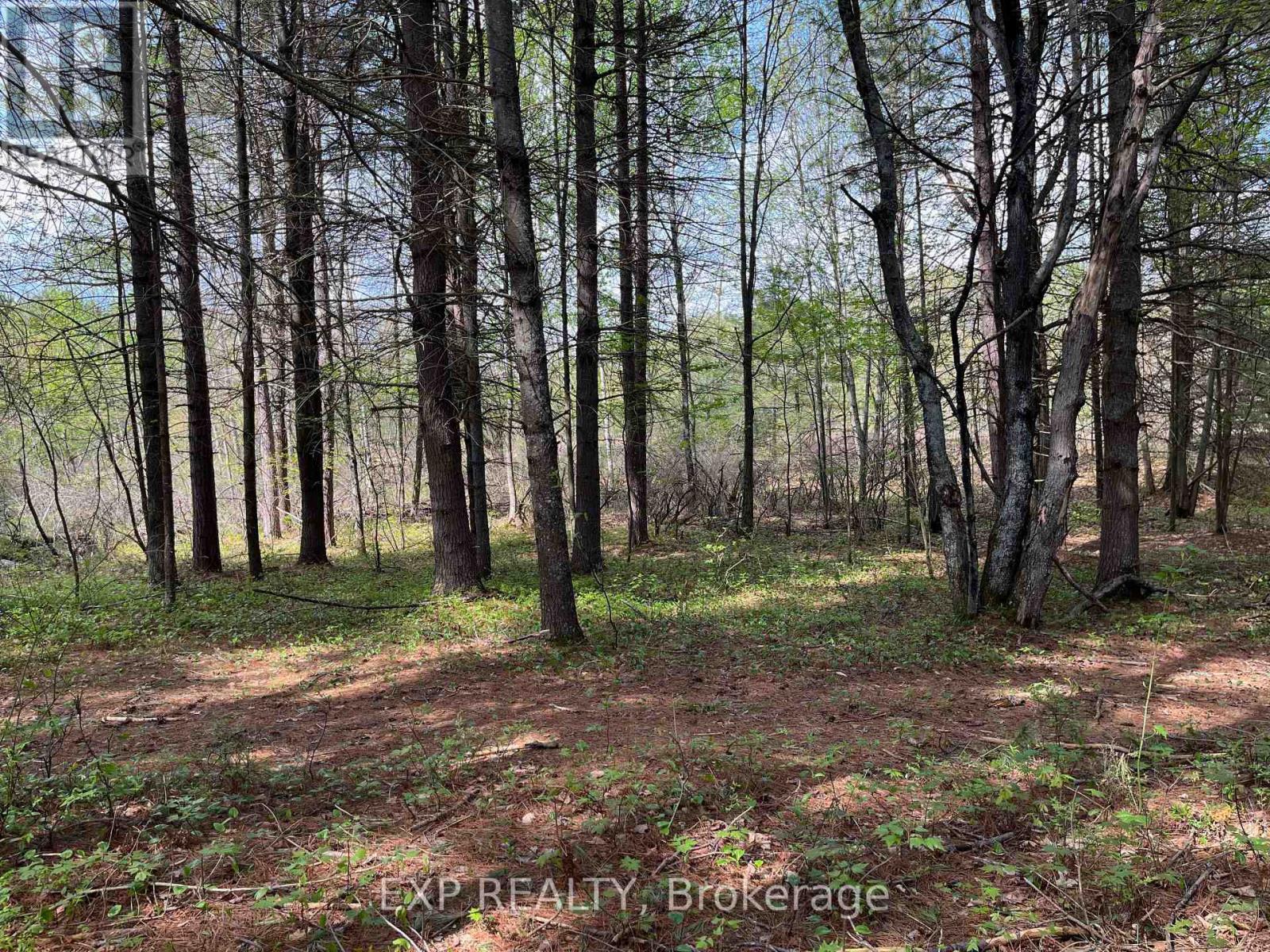 Lot 29 Sandy Shores Trail, Madawaska Valley, Ontario  K0J 1B0 - Photo 8 - X12091919