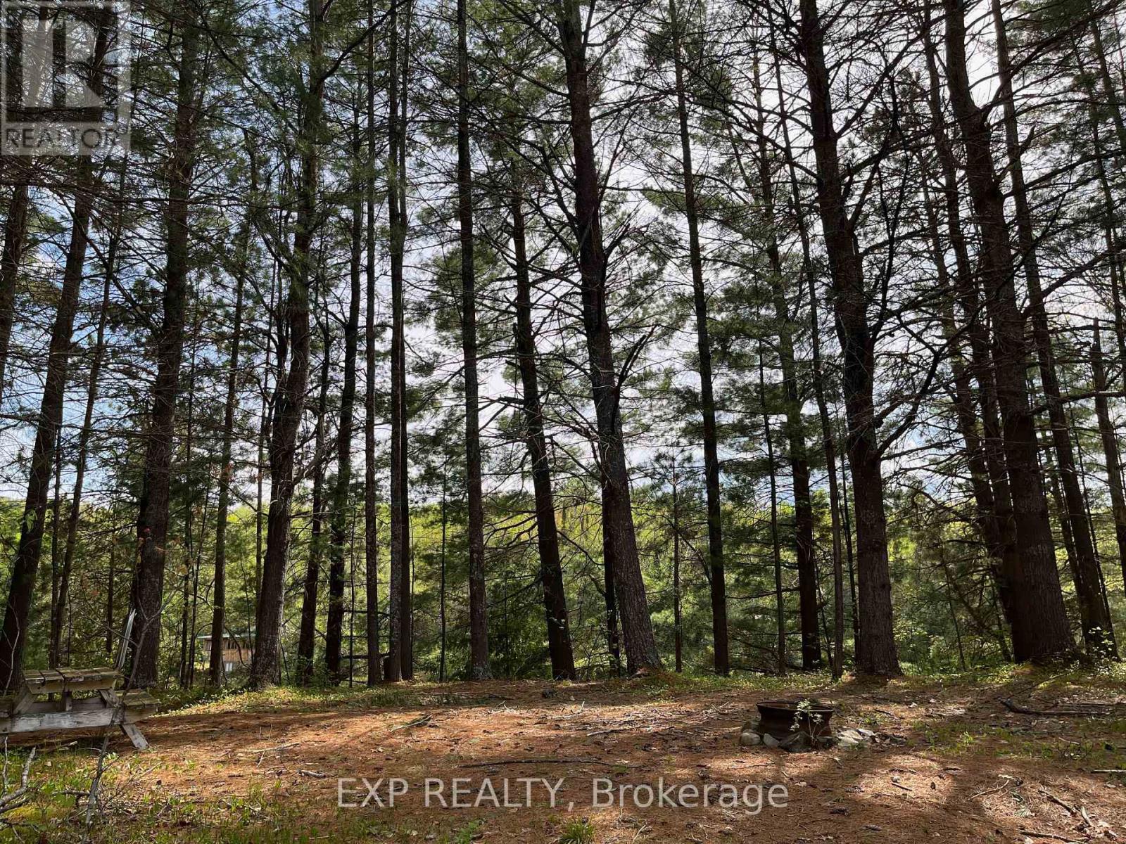Lot 29 Sandy Shores Trail, Madawaska Valley, Ontario  K0J 1B0 - Photo 9 - X12091919