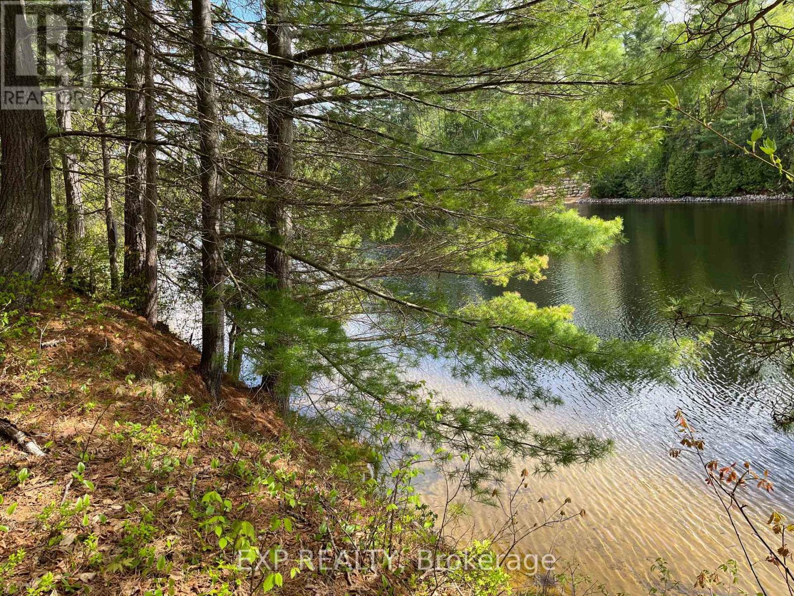 Lot 35 Sandy Shores Trail, Madawaska Valley, Ontario  K0J 1B0 - Photo 1 - X12091920