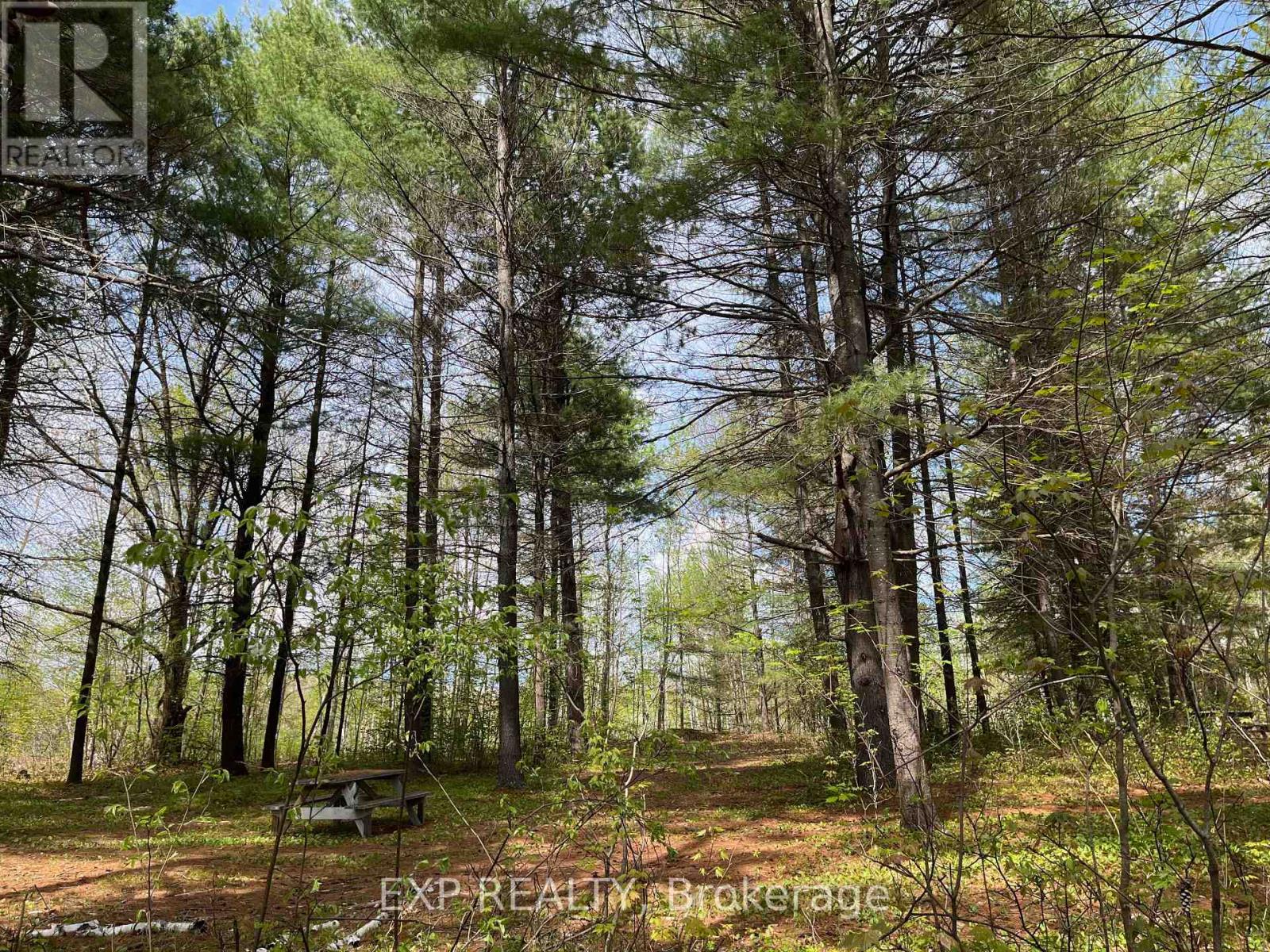 Lot 35 Sandy Shores Trail, Madawaska Valley, Ontario  K0J 1B0 - Photo 2 - X12091920