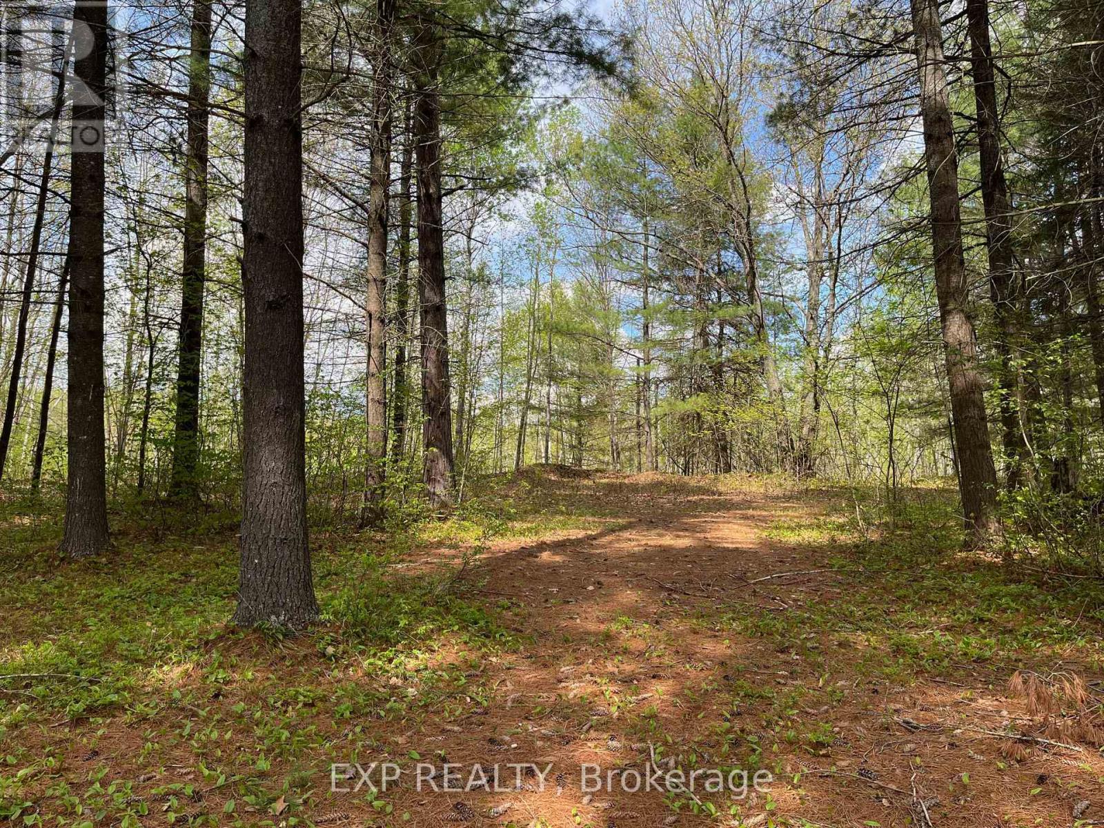 Lot 35 Sandy Shores Trail, Madawaska Valley, Ontario  K0J 1B0 - Photo 4 - X12091920